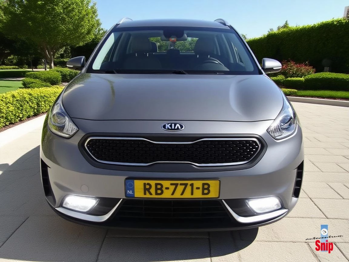 Hoofdafbeelding Kia Niro