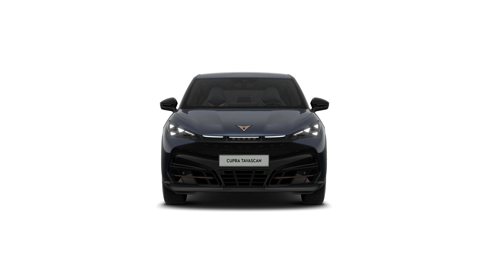 Hoofdafbeelding CUPRA Tavascan