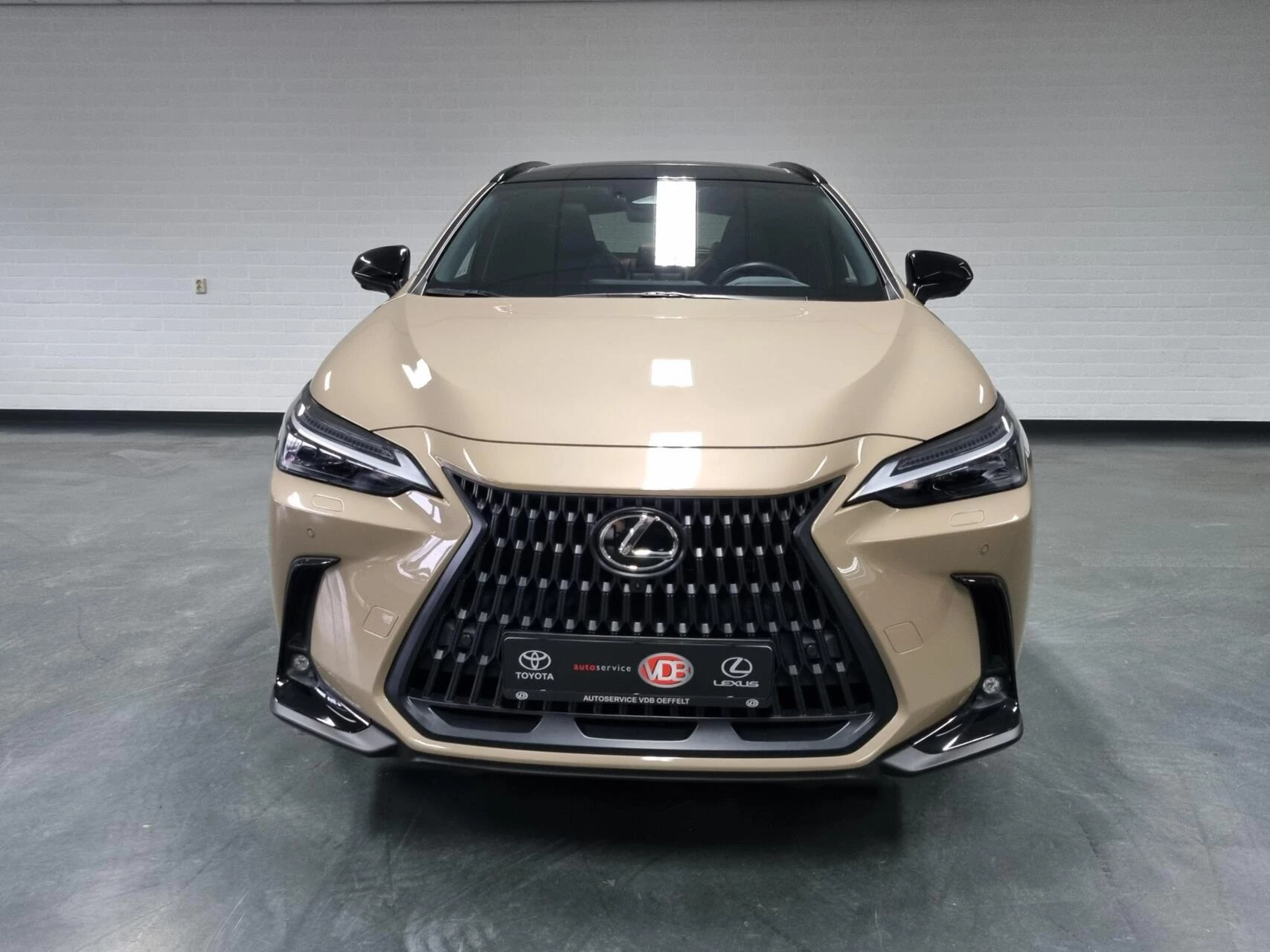 Hoofdafbeelding Lexus NX