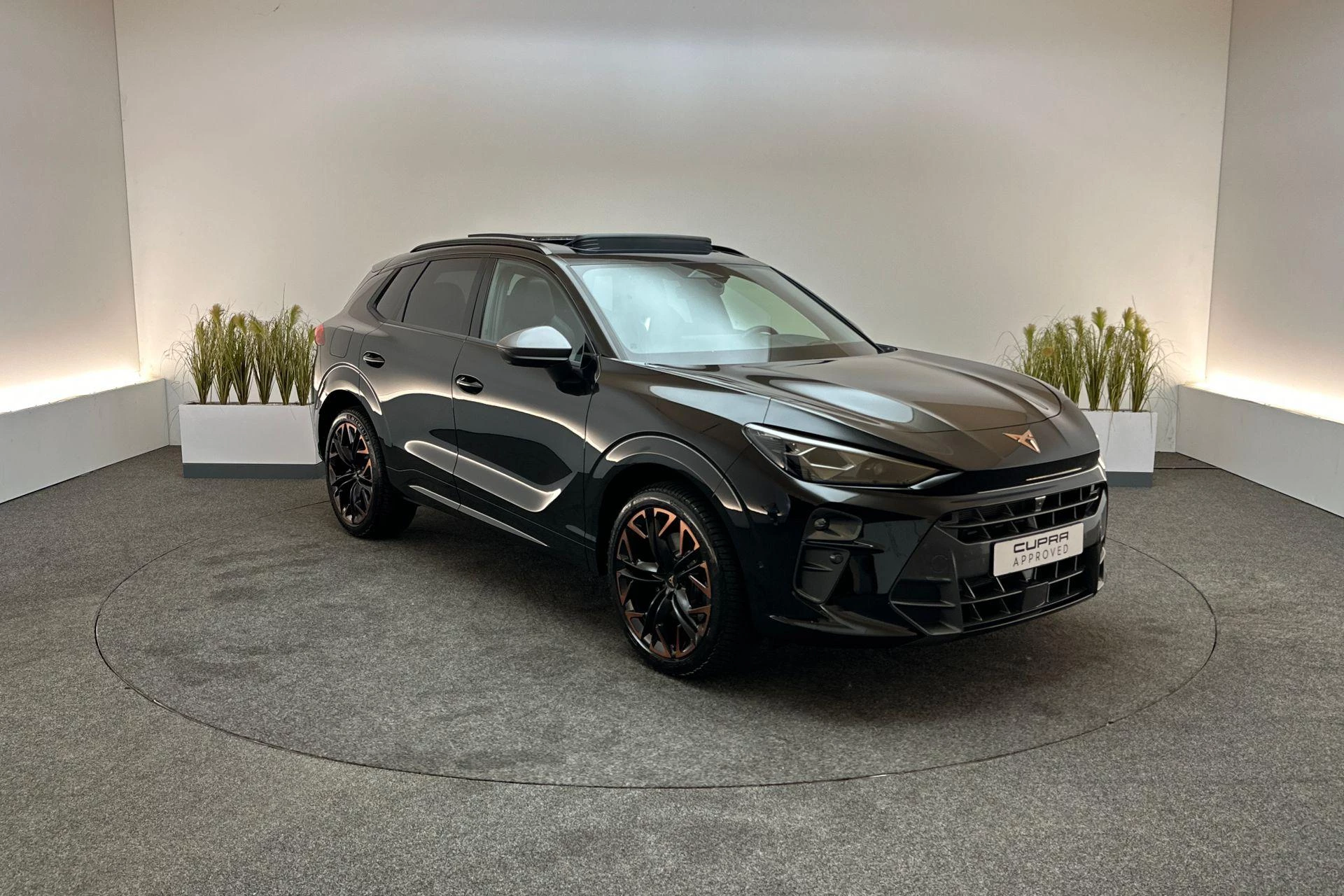 Hoofdafbeelding CUPRA Terramar