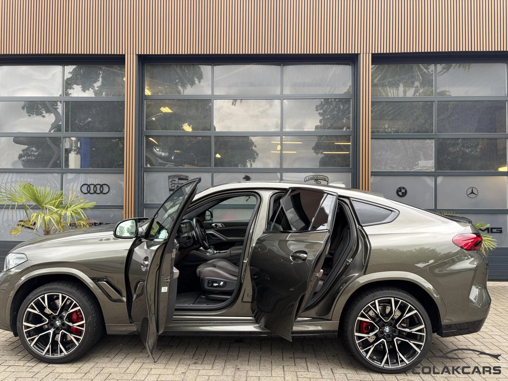 Hoofdafbeelding BMW X6