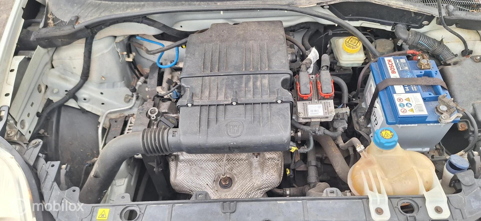 Hoofdafbeelding Fiat Punto