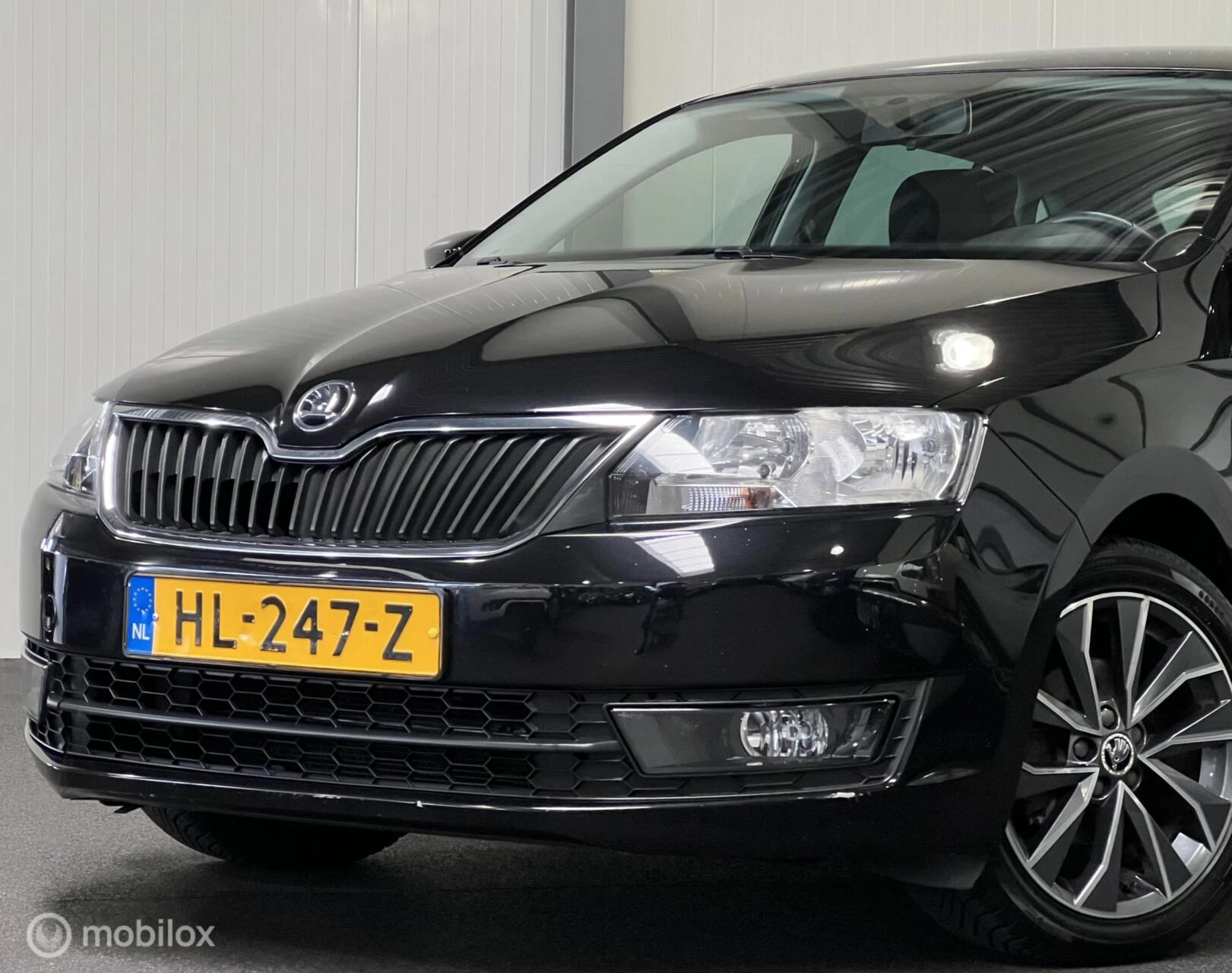 Hoofdafbeelding Škoda Rapid