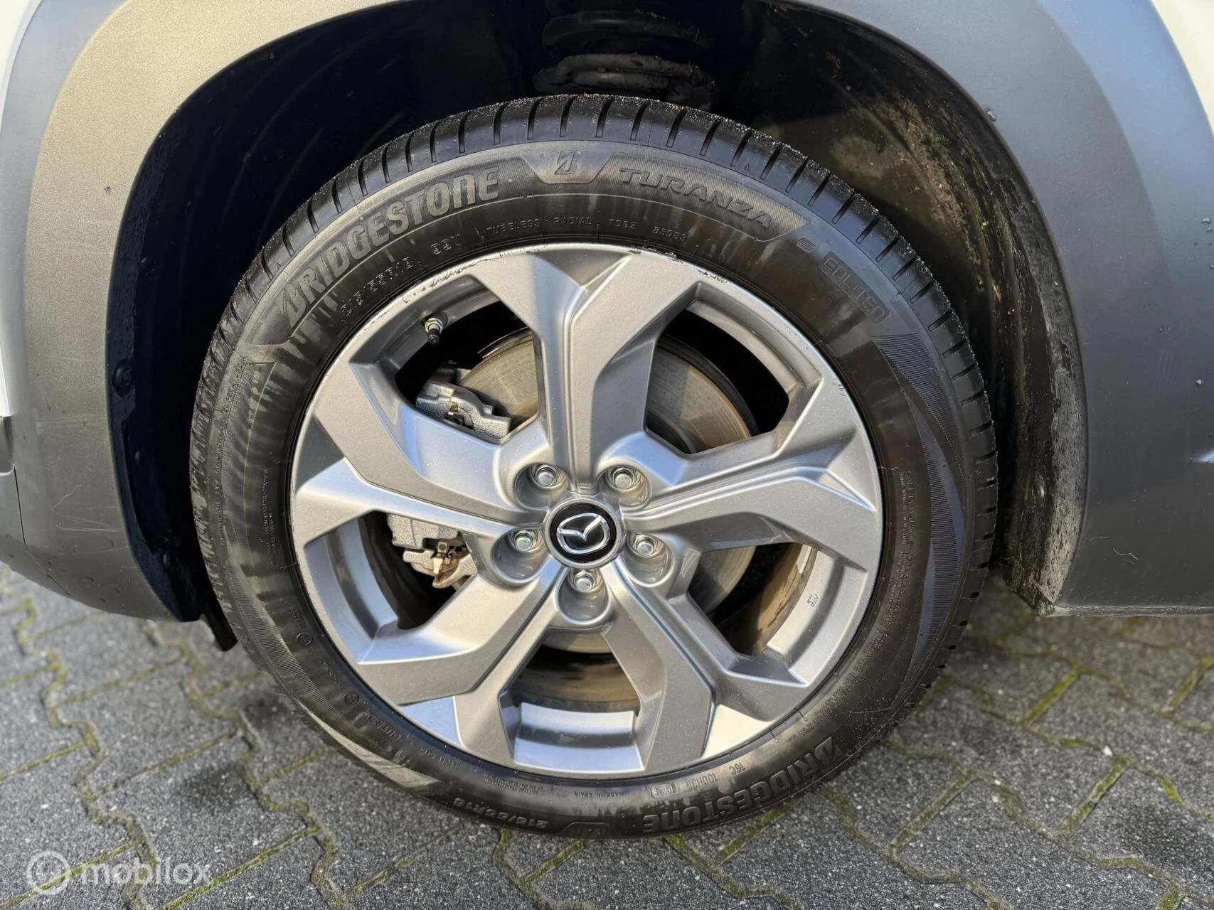 Hoofdafbeelding Mazda MX-30