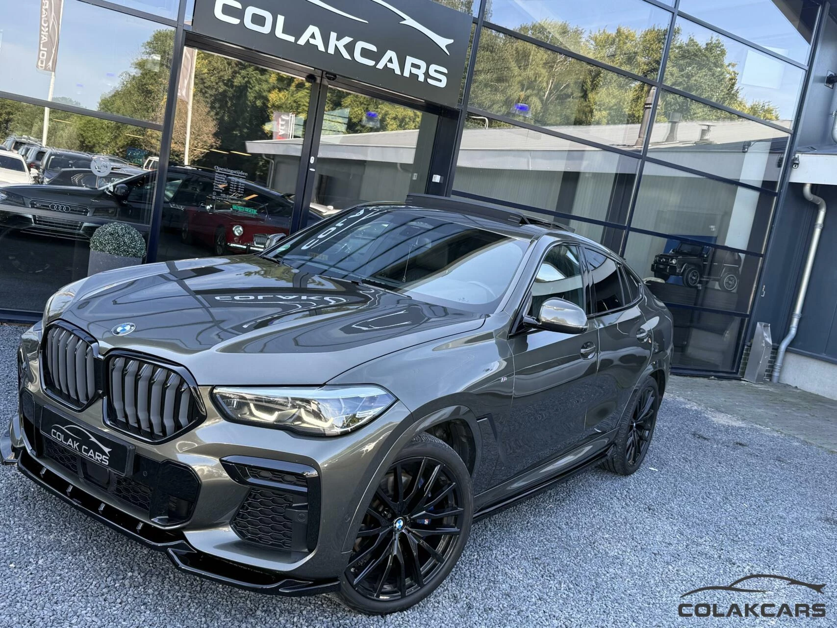 Hoofdafbeelding BMW X6