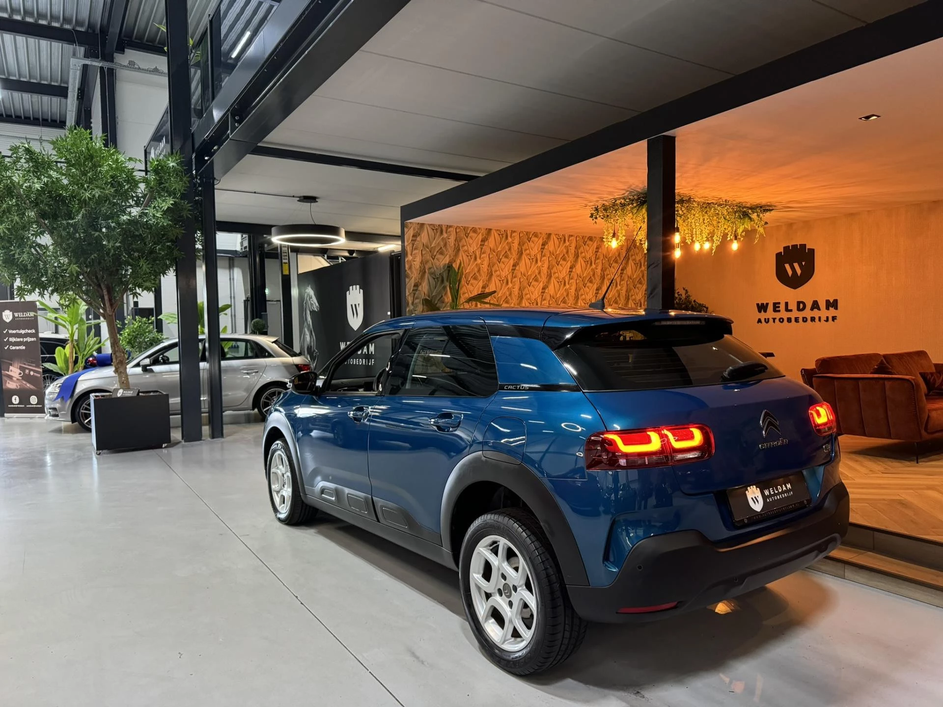 Hoofdafbeelding Citroën C4 Cactus