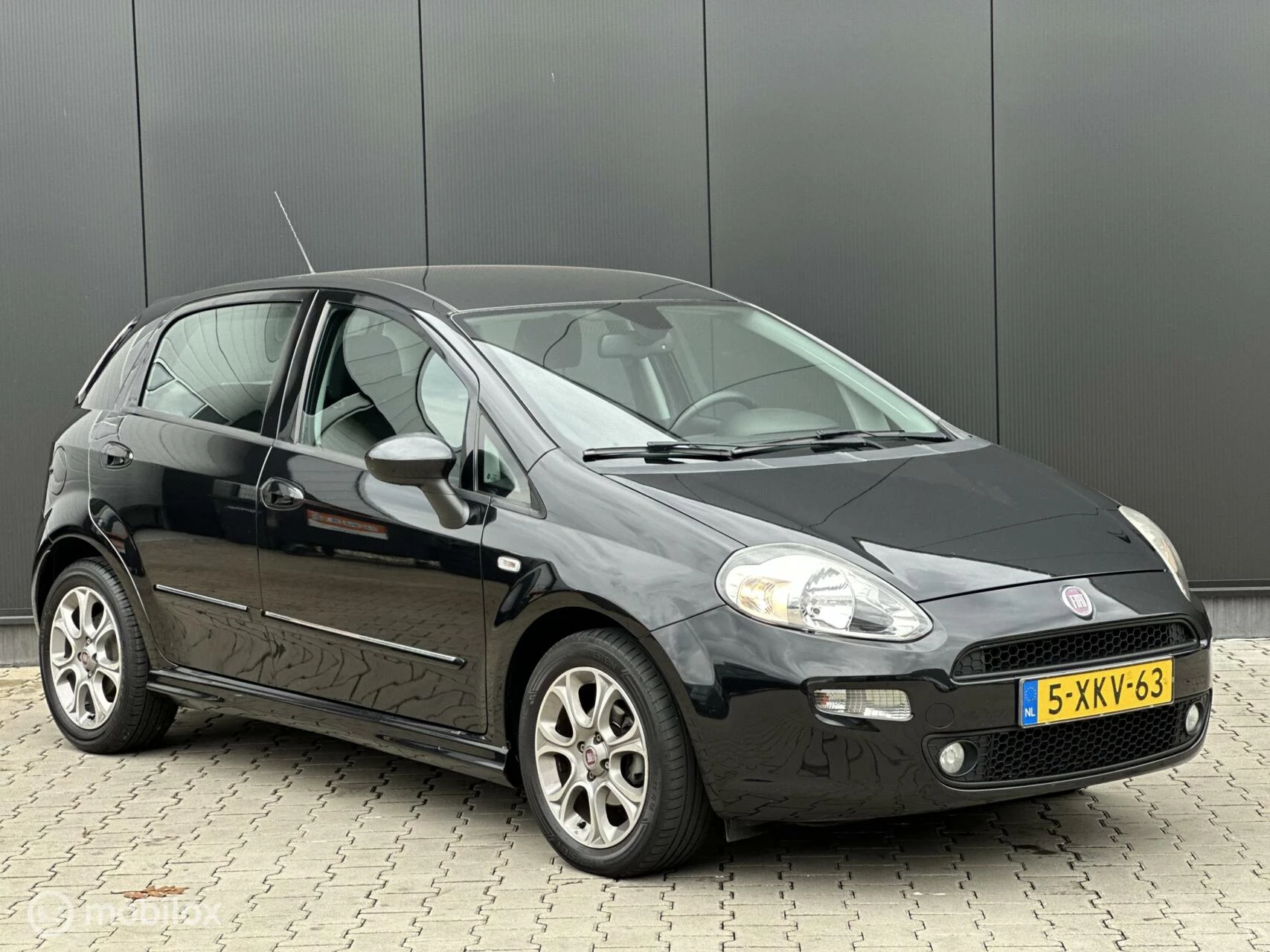 Hoofdafbeelding Fiat Punto