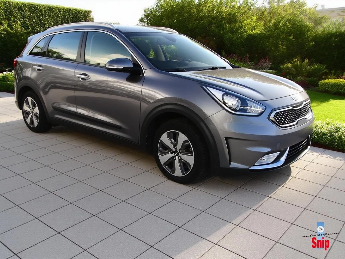Hoofdafbeelding Kia Niro