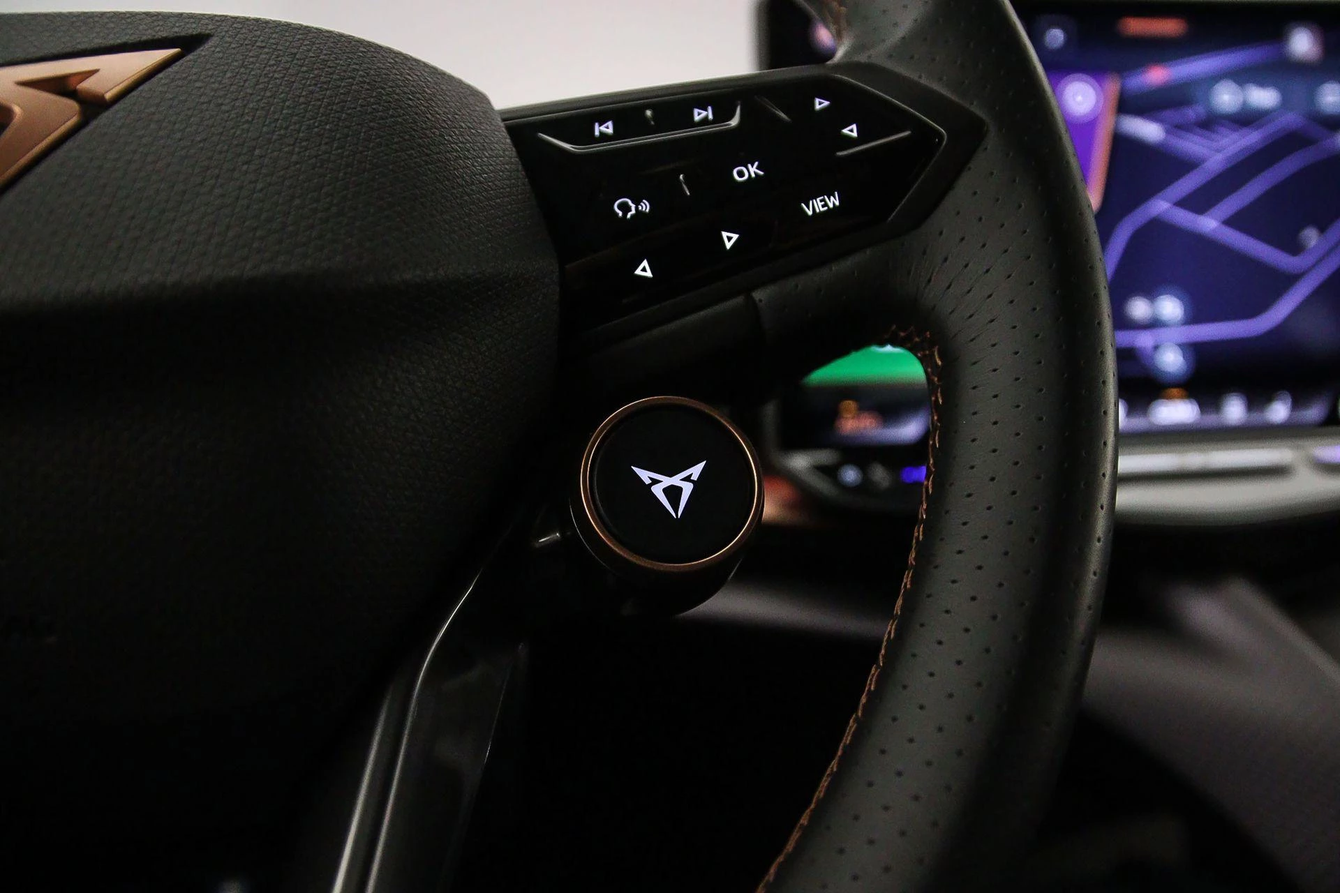 Hoofdafbeelding CUPRA Tavascan