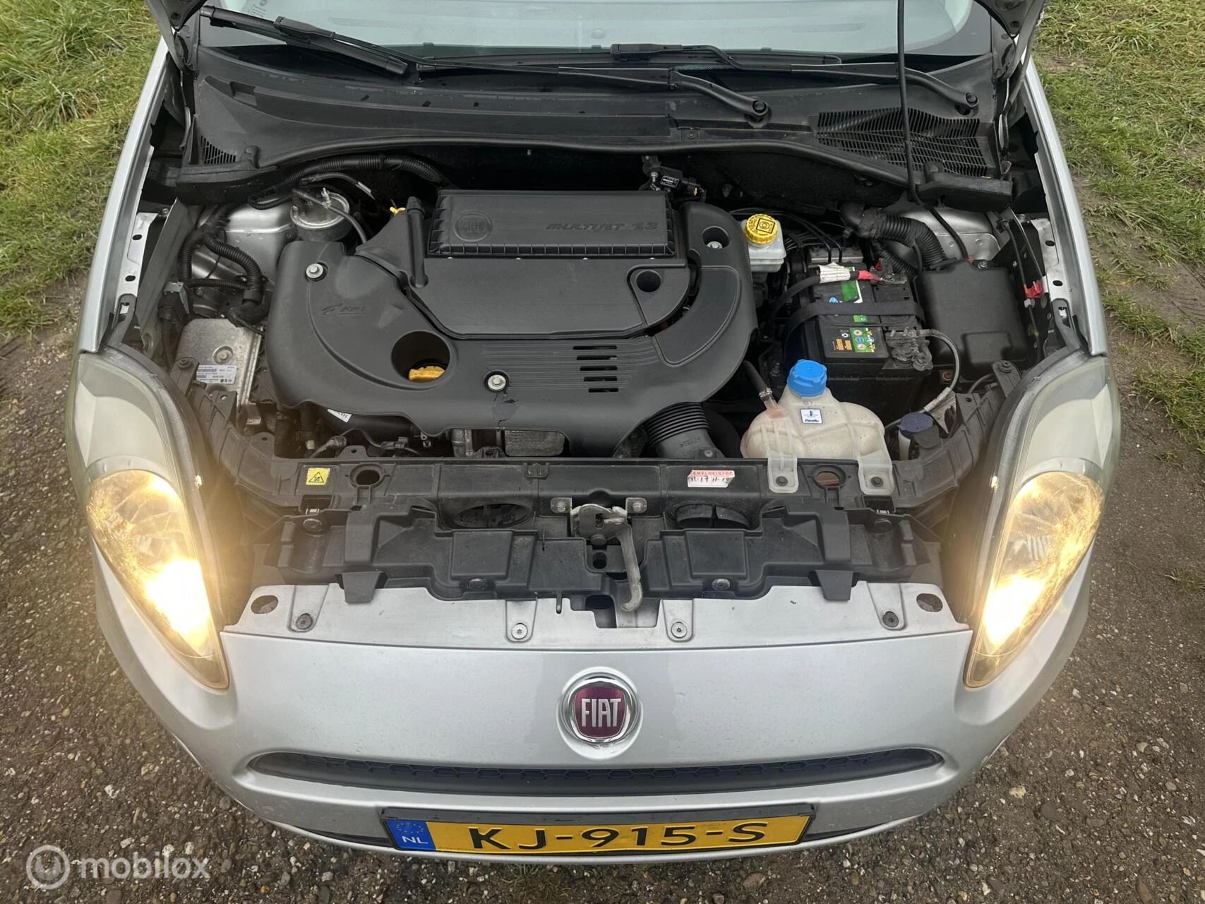 Hoofdafbeelding Fiat Punto