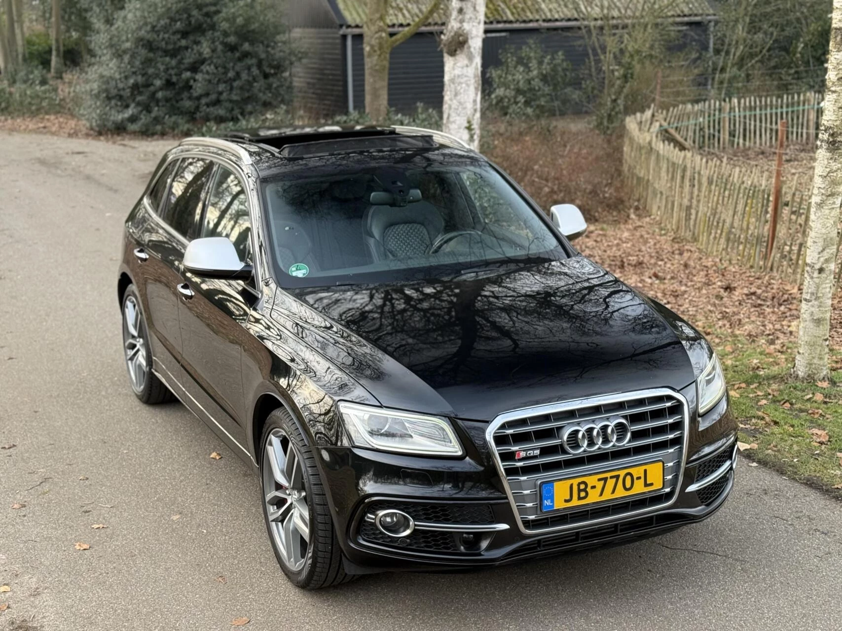 Hoofdafbeelding Audi SQ5