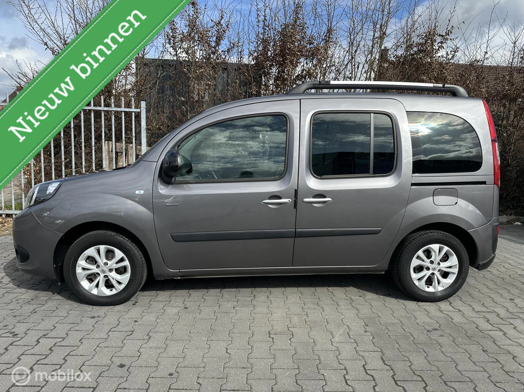 Hoofdafbeelding Renault Kangoo