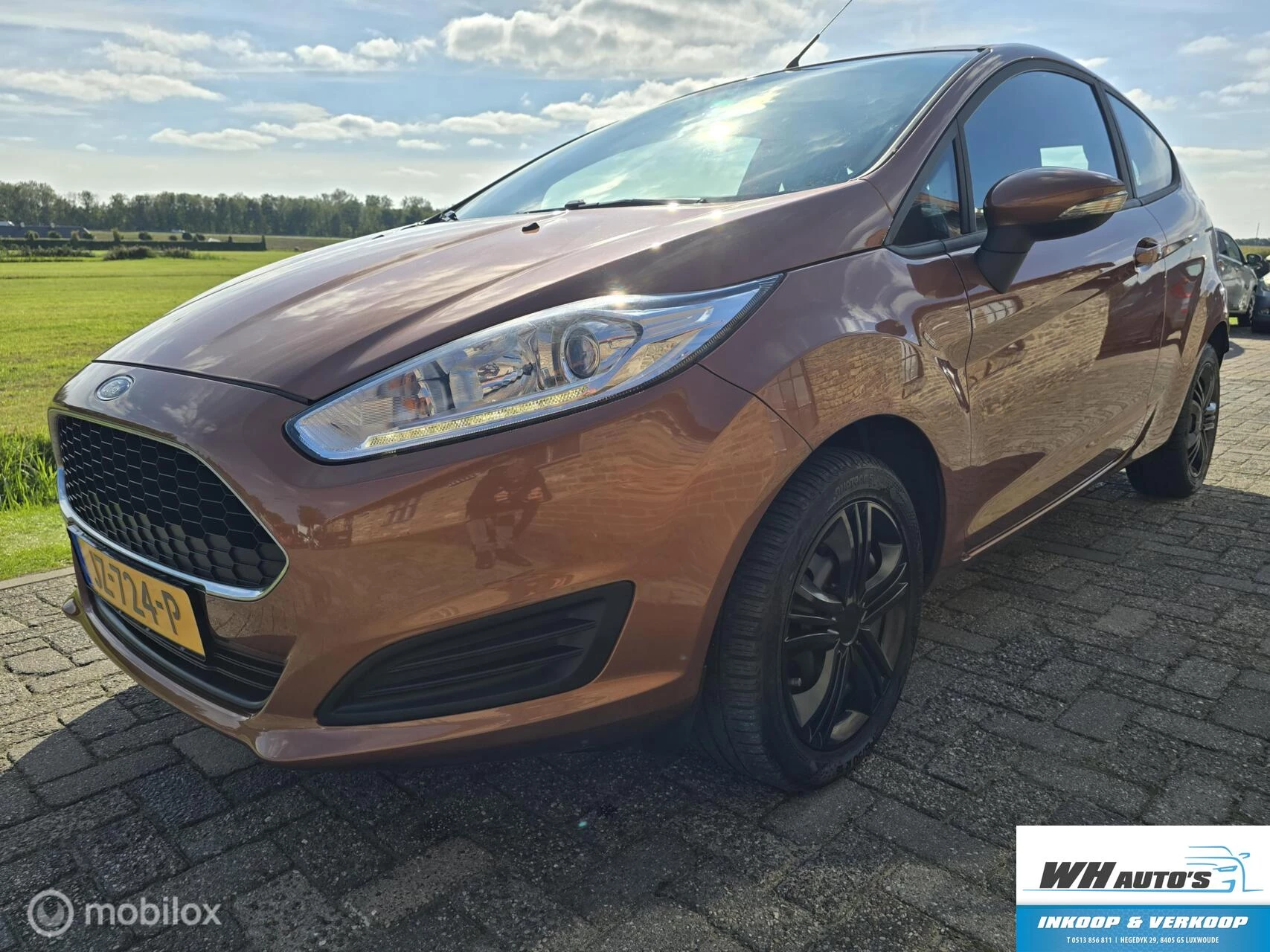 Hoofdafbeelding Ford Fiesta