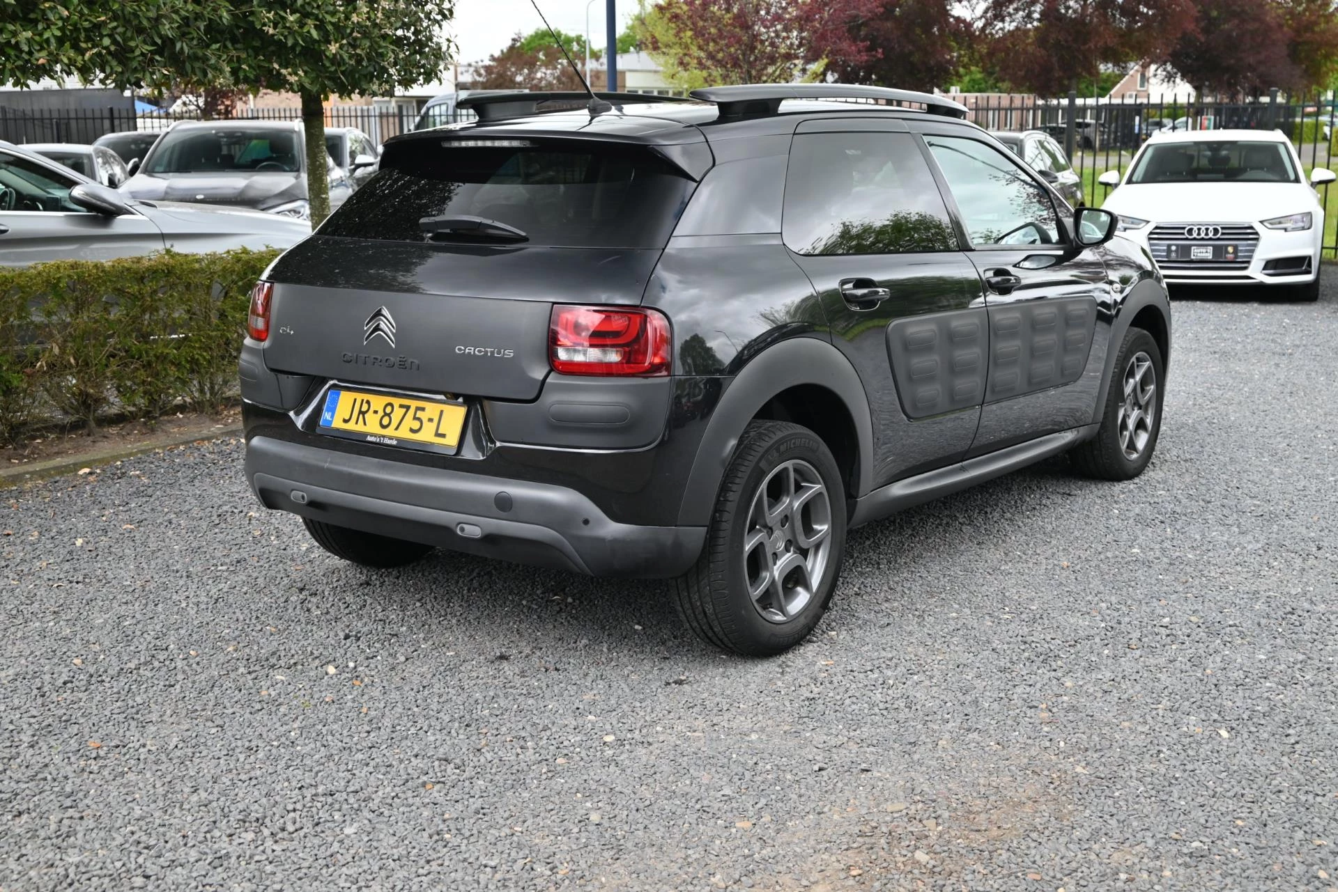 Hoofdafbeelding Citroën C4 Cactus