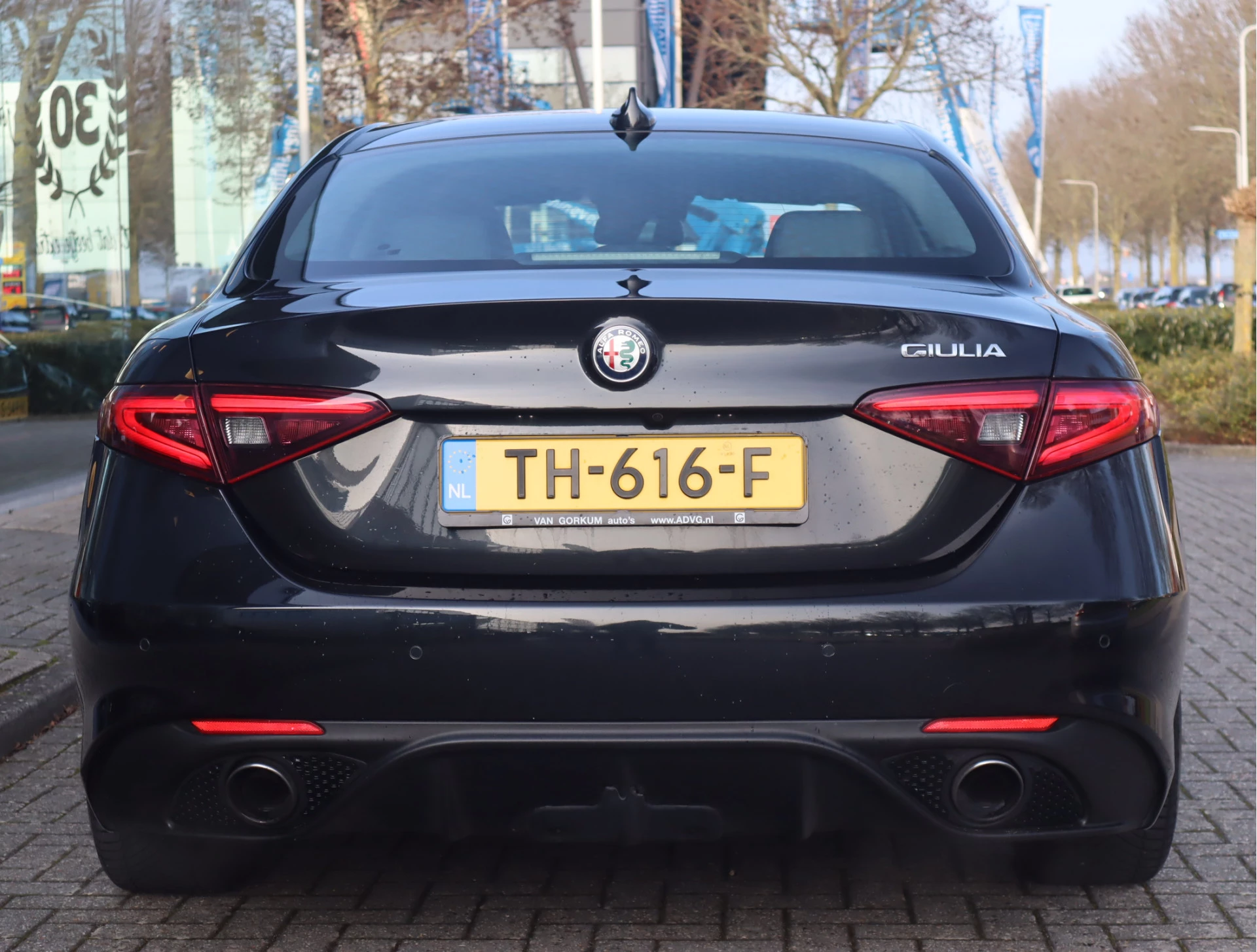 Hoofdafbeelding Alfa Romeo Giulia