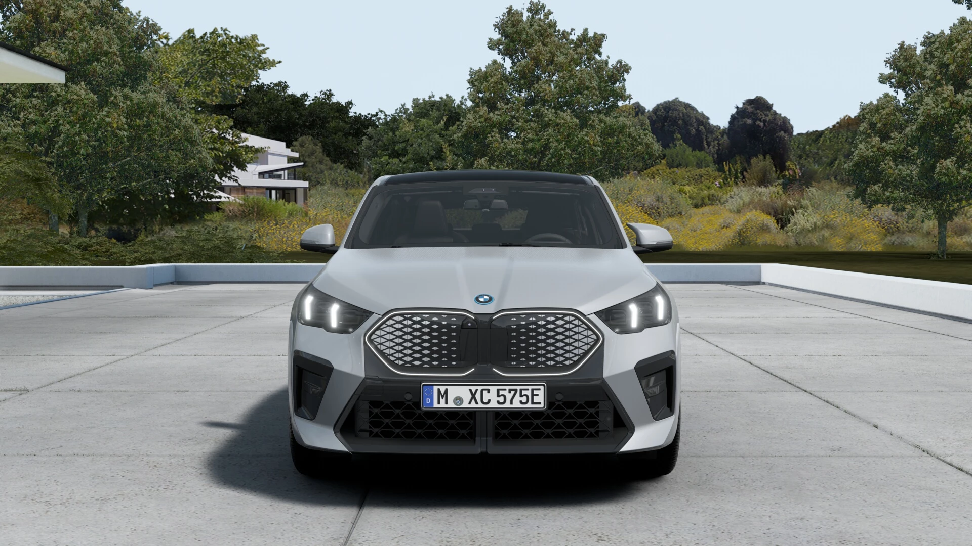 Hoofdafbeelding BMW iX2