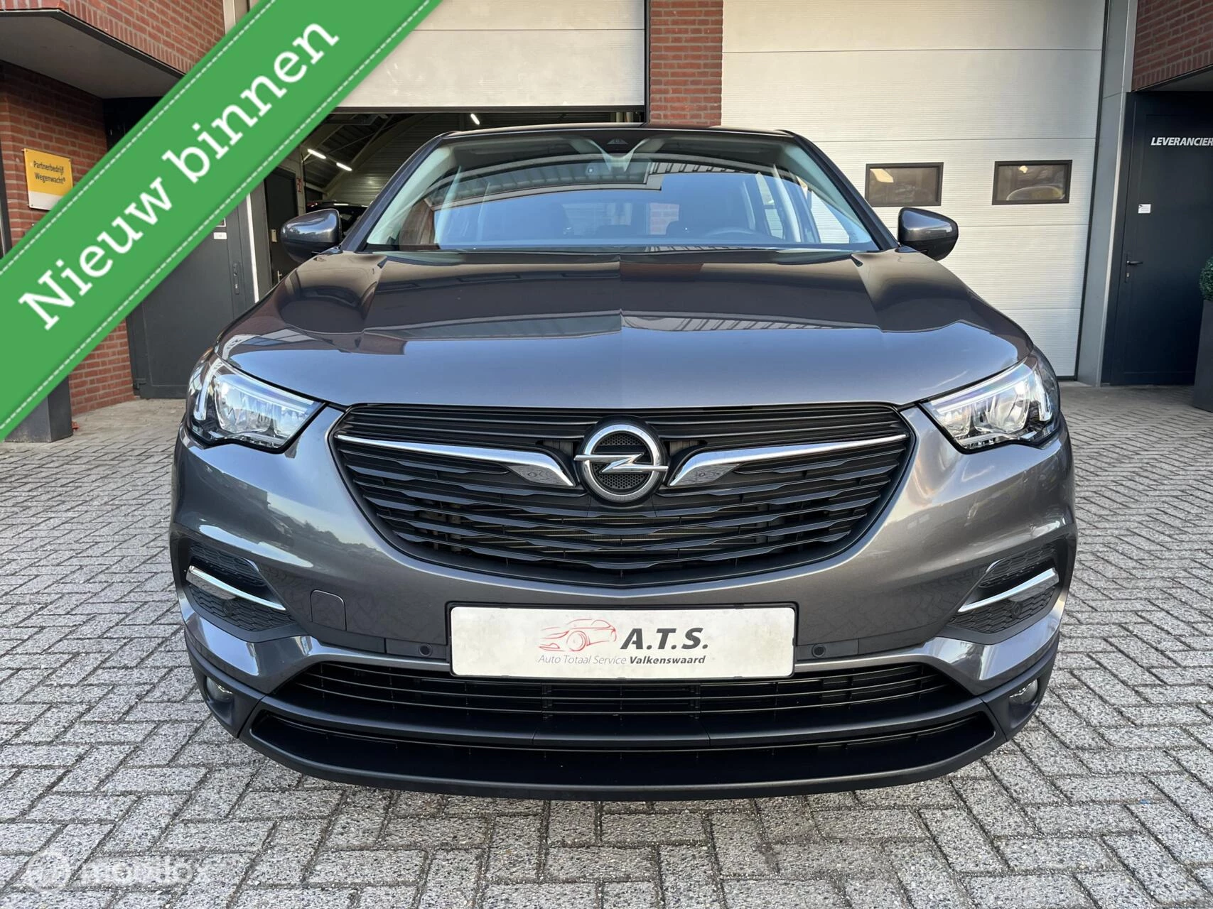 Hoofdafbeelding Opel Grandland X
