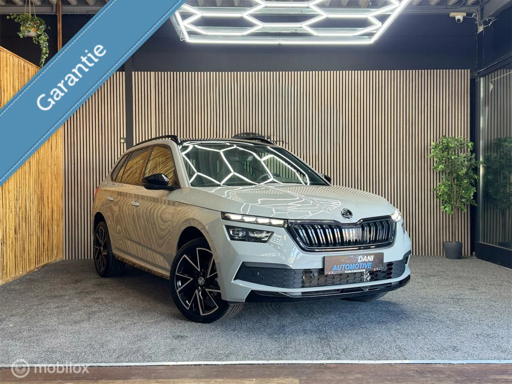 Hoofdafbeelding Škoda Kamiq