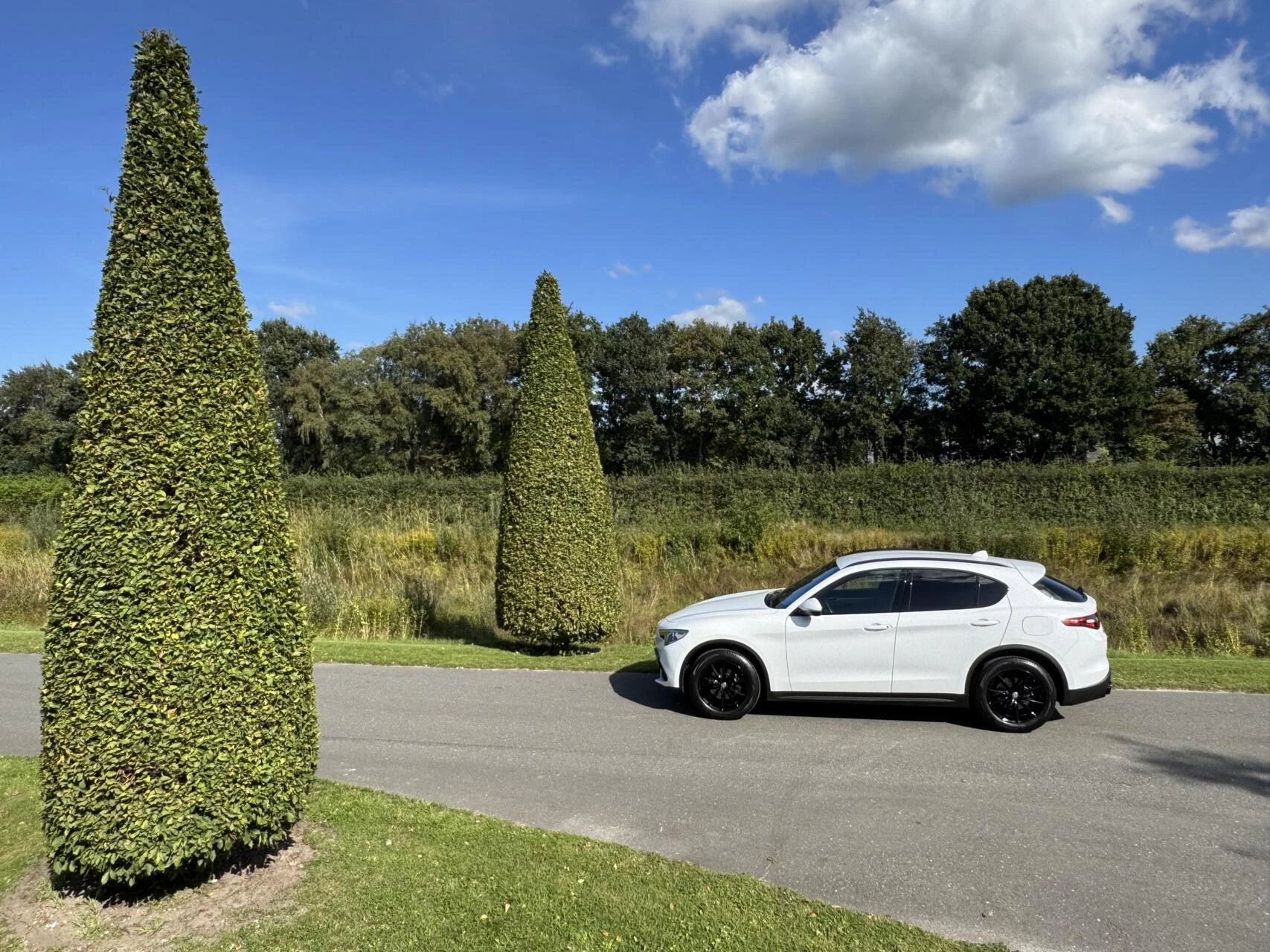 Hoofdafbeelding Alfa Romeo Stelvio