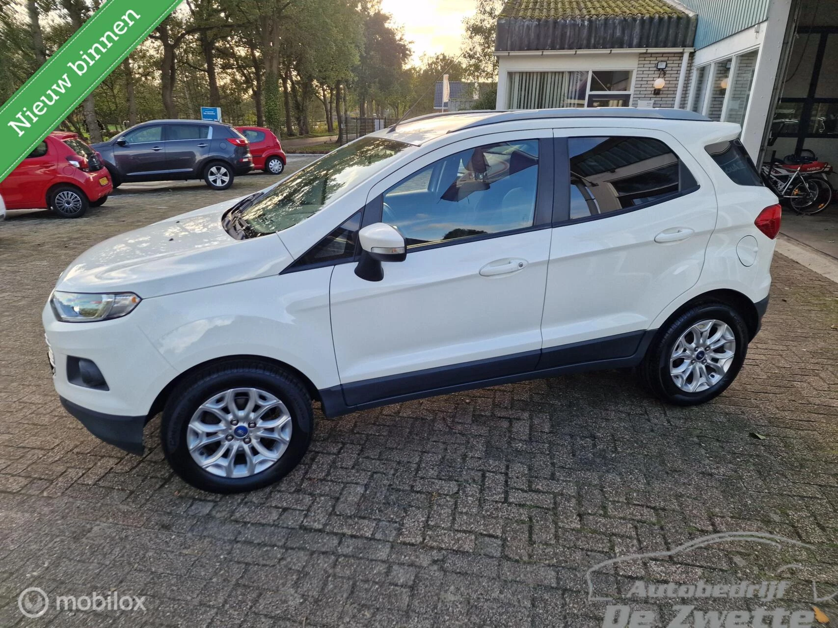 Hoofdafbeelding Ford EcoSport