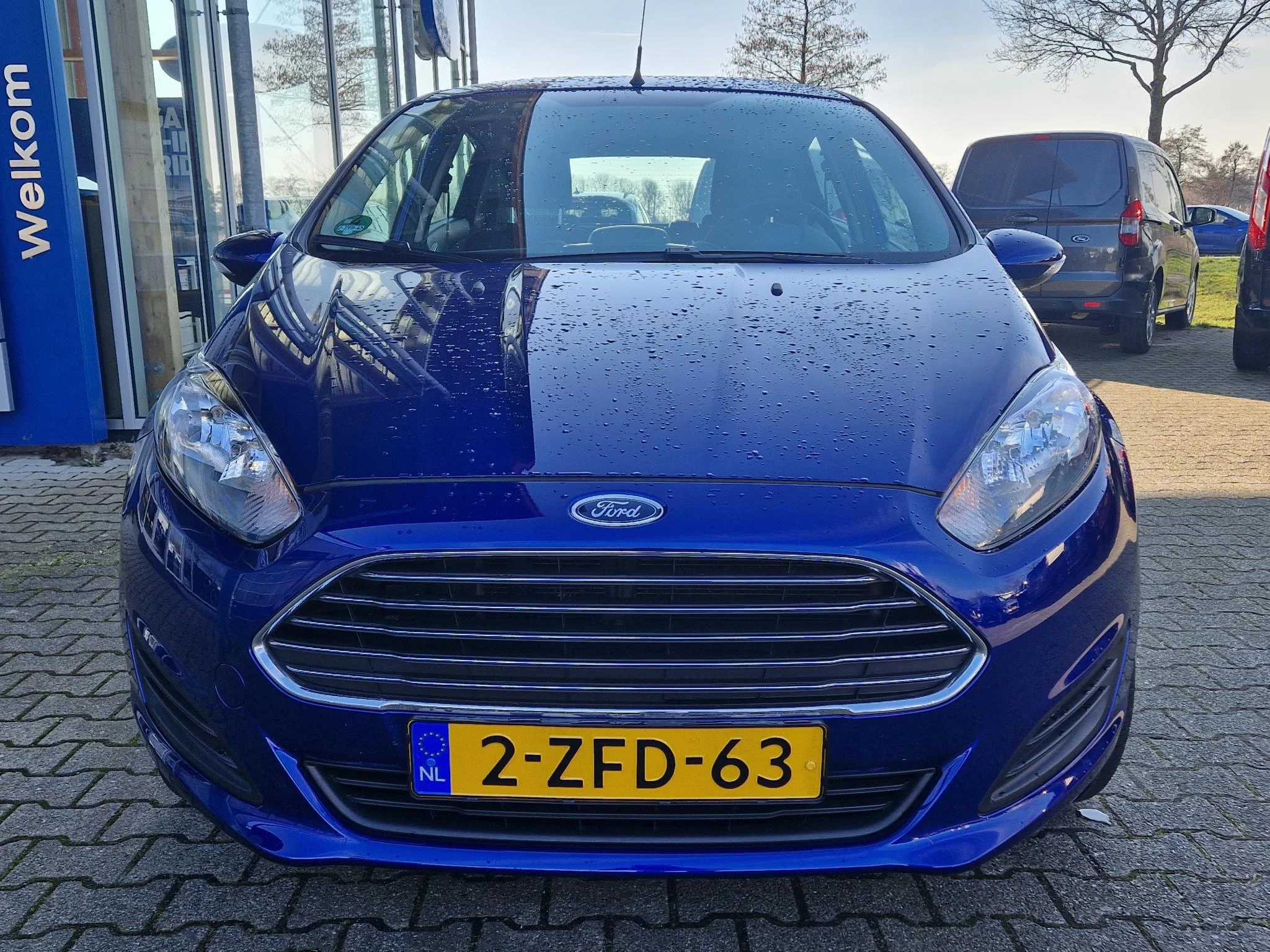 Hoofdafbeelding Ford Fiesta