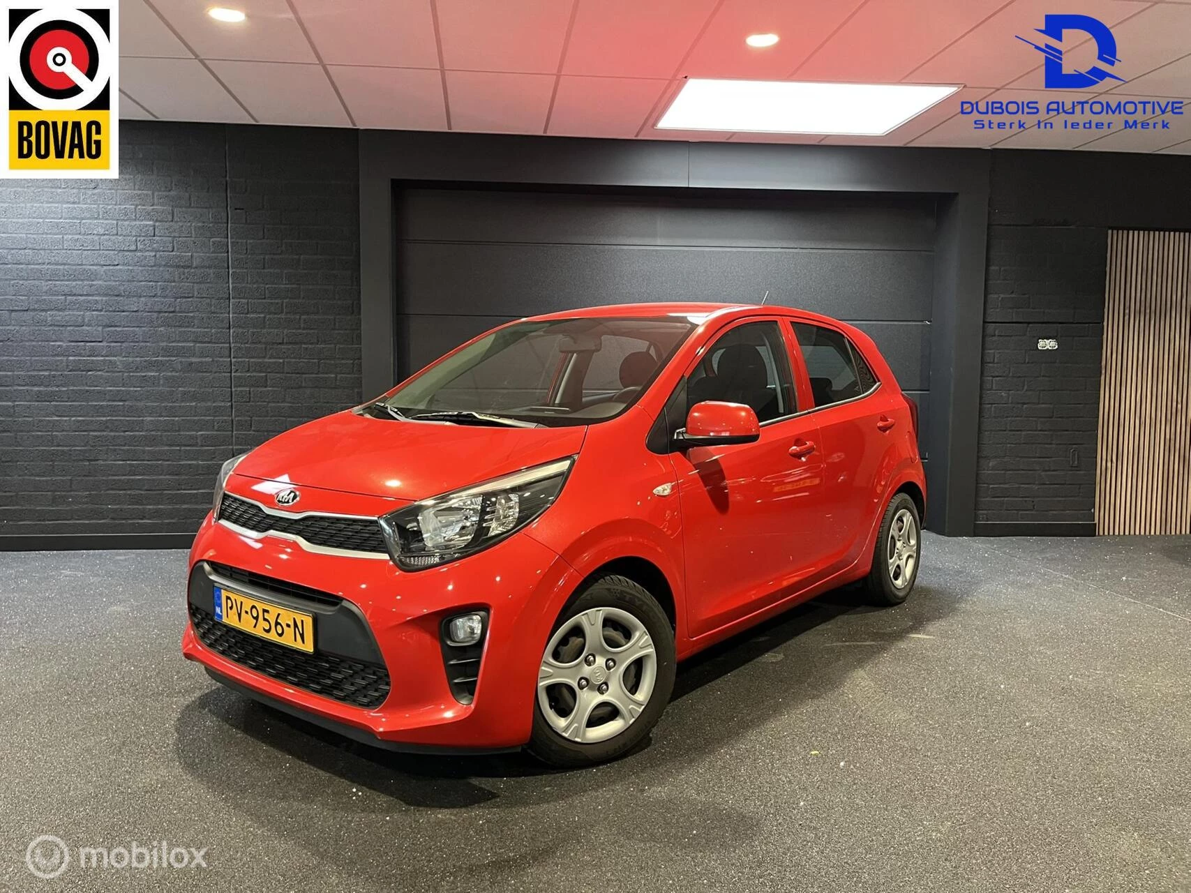 Hoofdafbeelding Kia Picanto