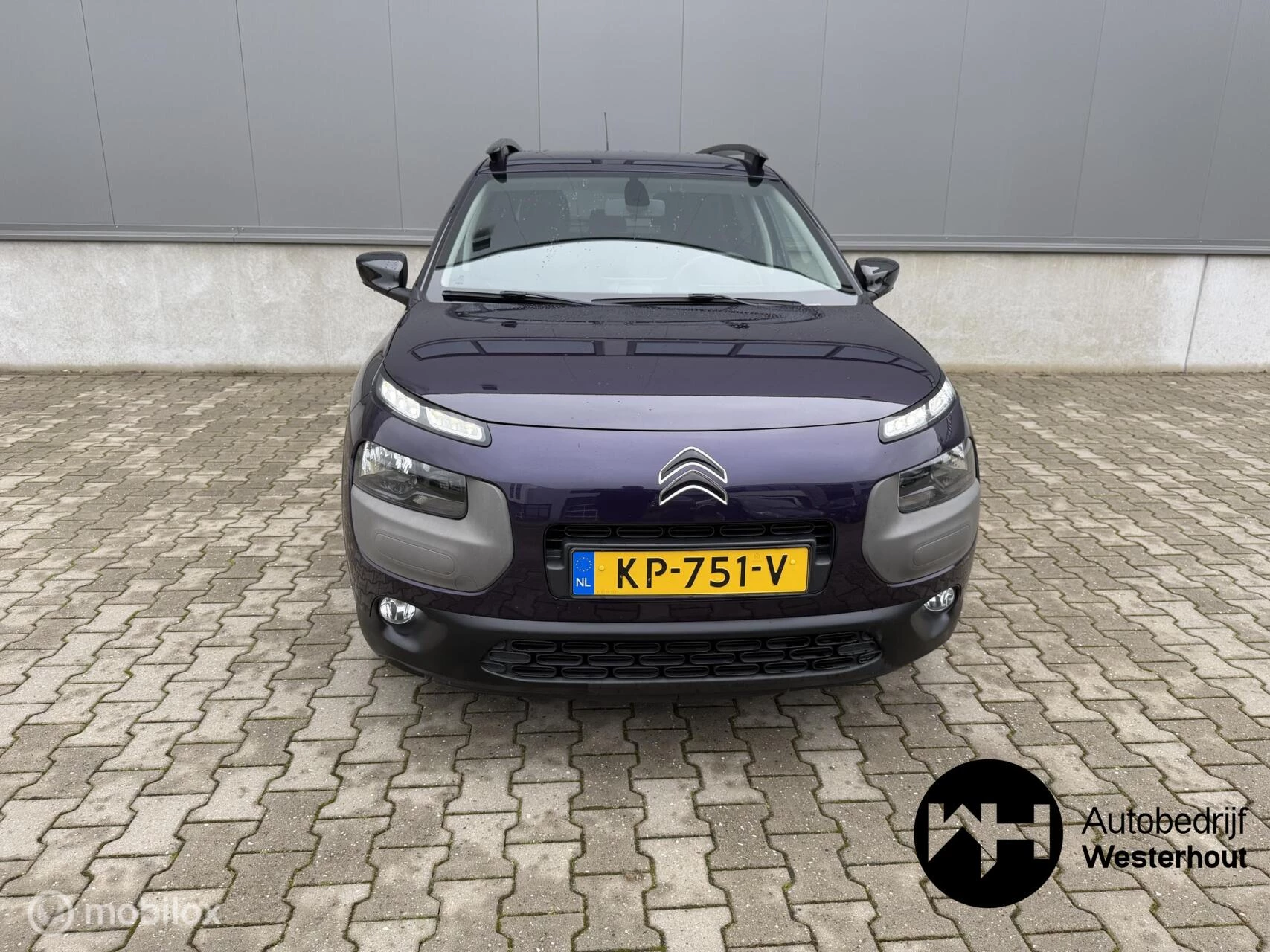 Hoofdafbeelding Citroën C4 Cactus