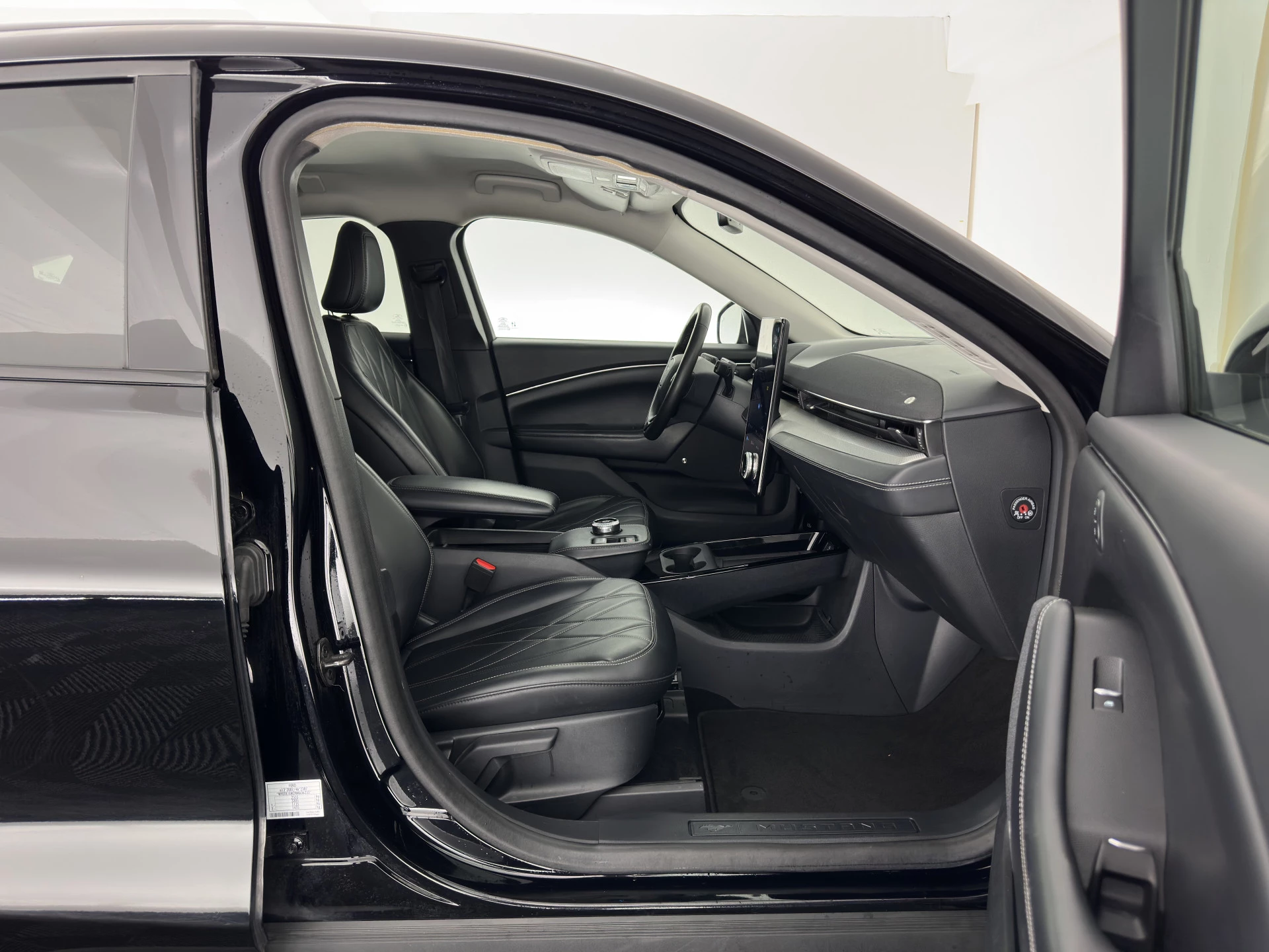 Hoofdafbeelding Ford Mustang Mach-E