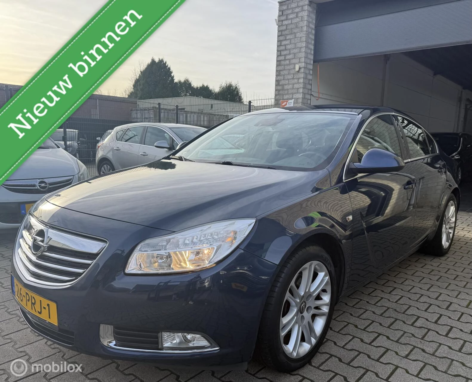 Hoofdafbeelding Opel Insignia