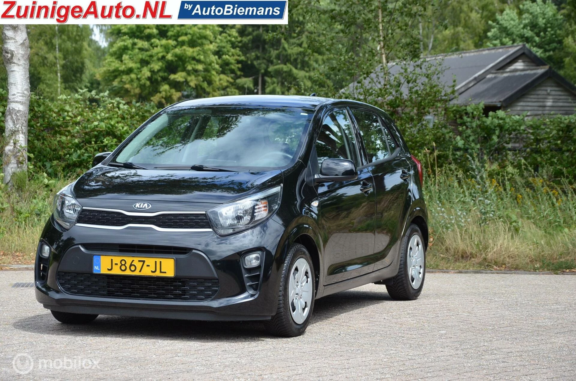Hoofdafbeelding Kia Picanto