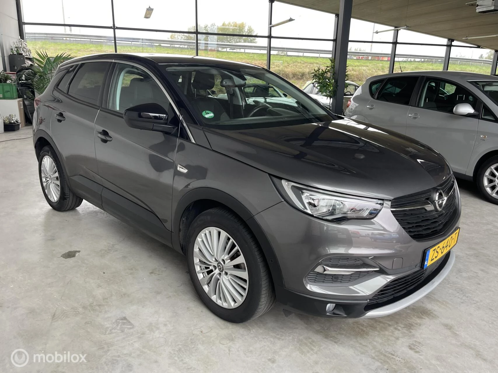 Hoofdafbeelding Opel Grandland X