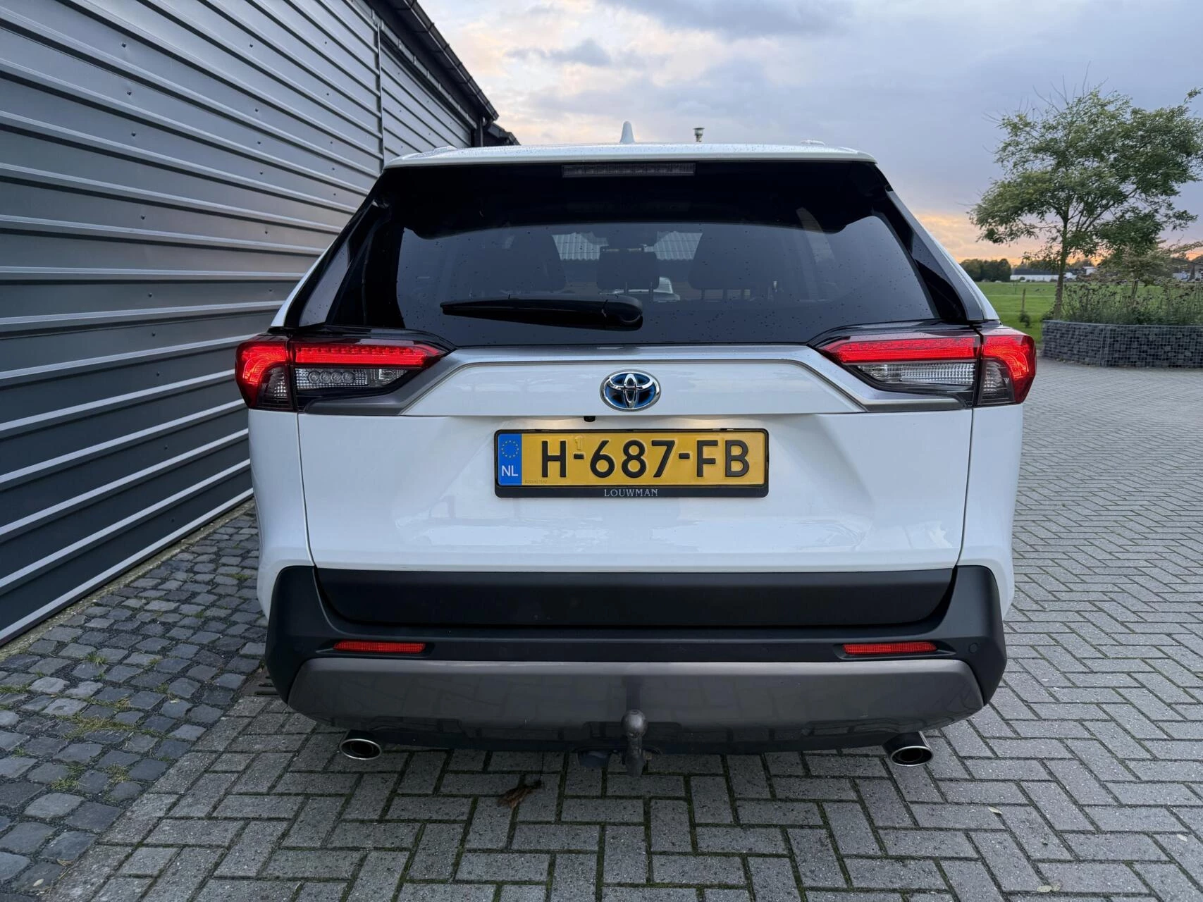Hoofdafbeelding Toyota RAV4