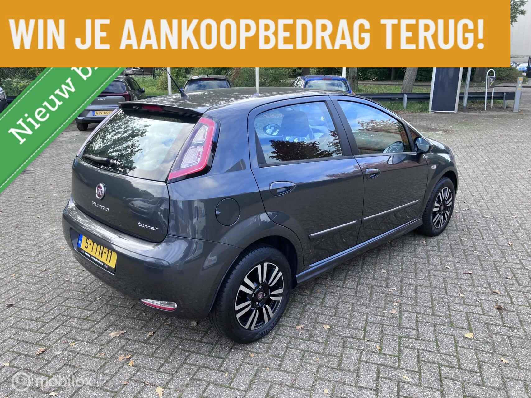 Hoofdafbeelding Fiat Punto