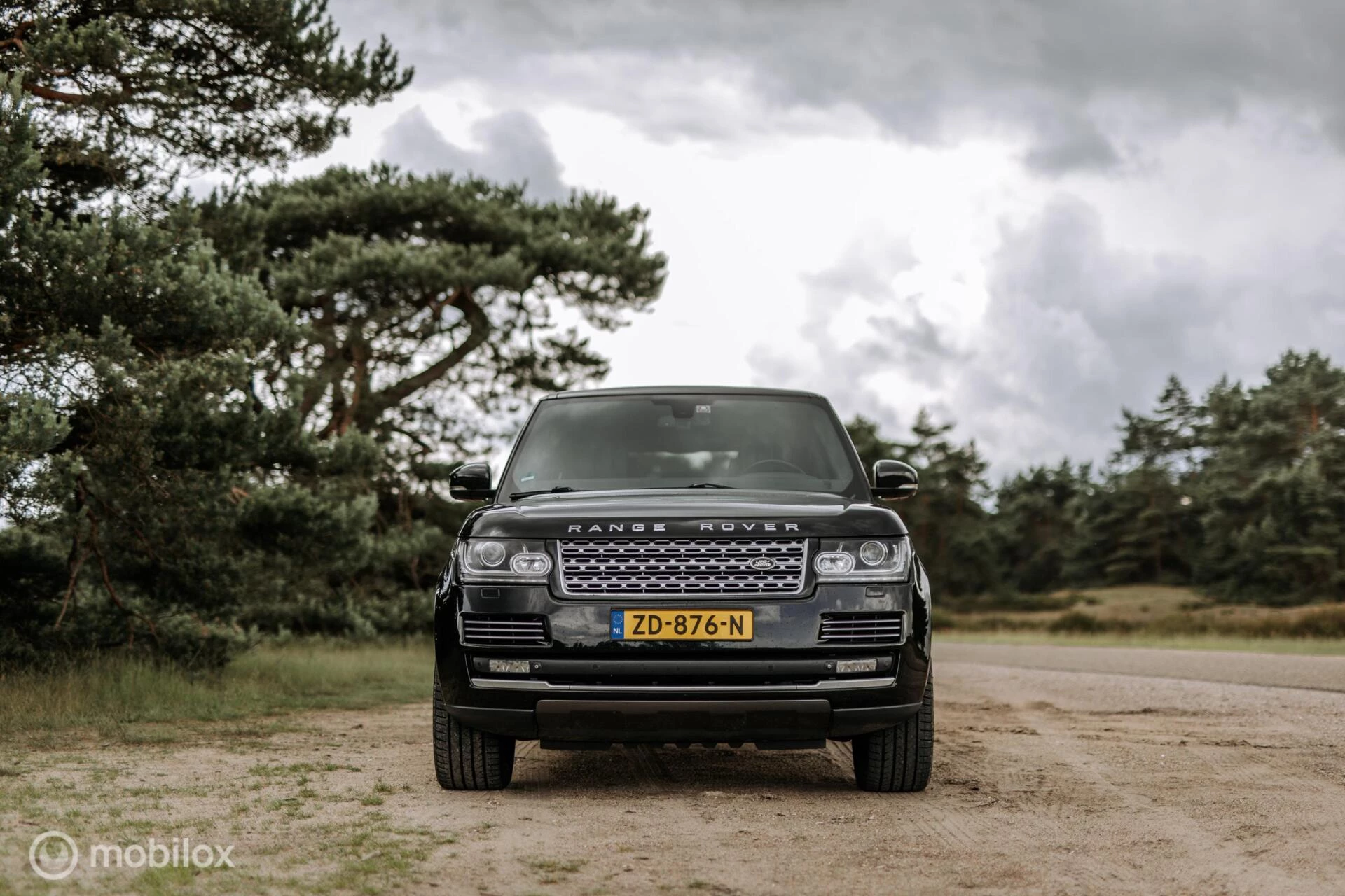 Hoofdafbeelding Land Rover Range Rover