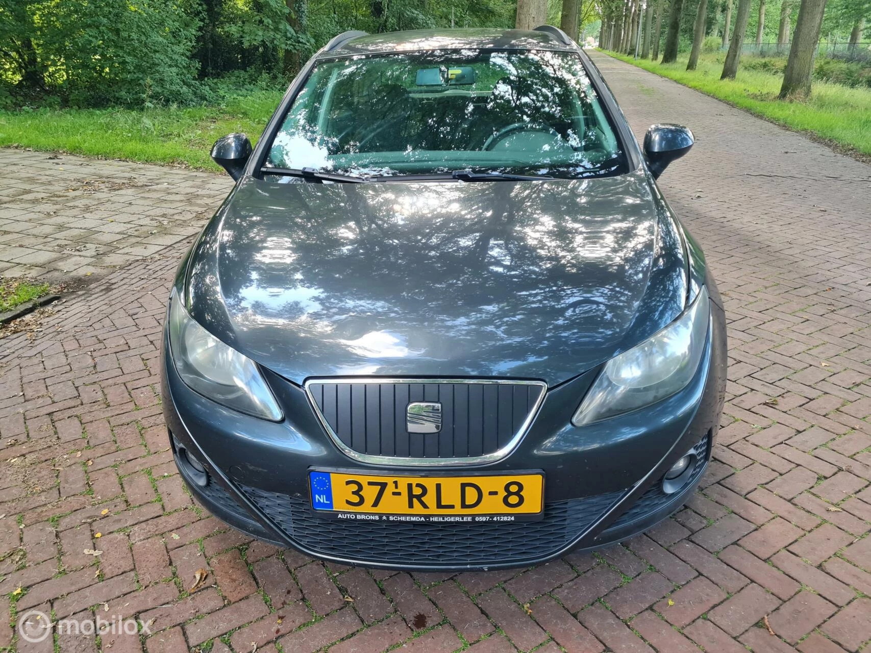 Hoofdafbeelding SEAT Ibiza