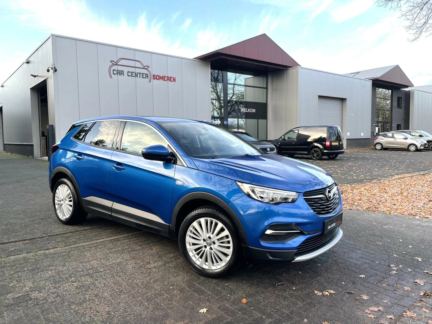 Hoofdafbeelding Opel Grandland X