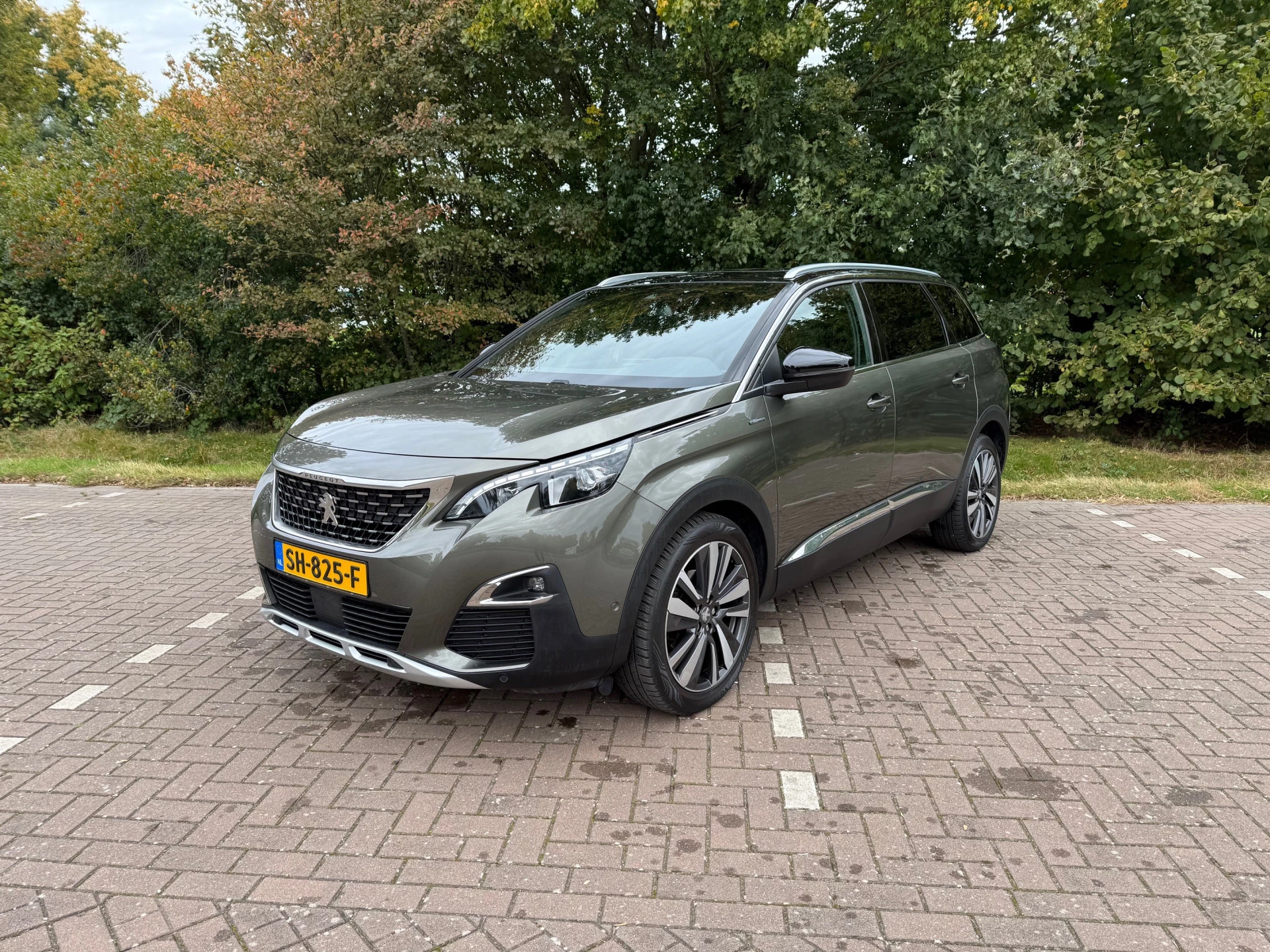 Hoofdafbeelding Peugeot 5008