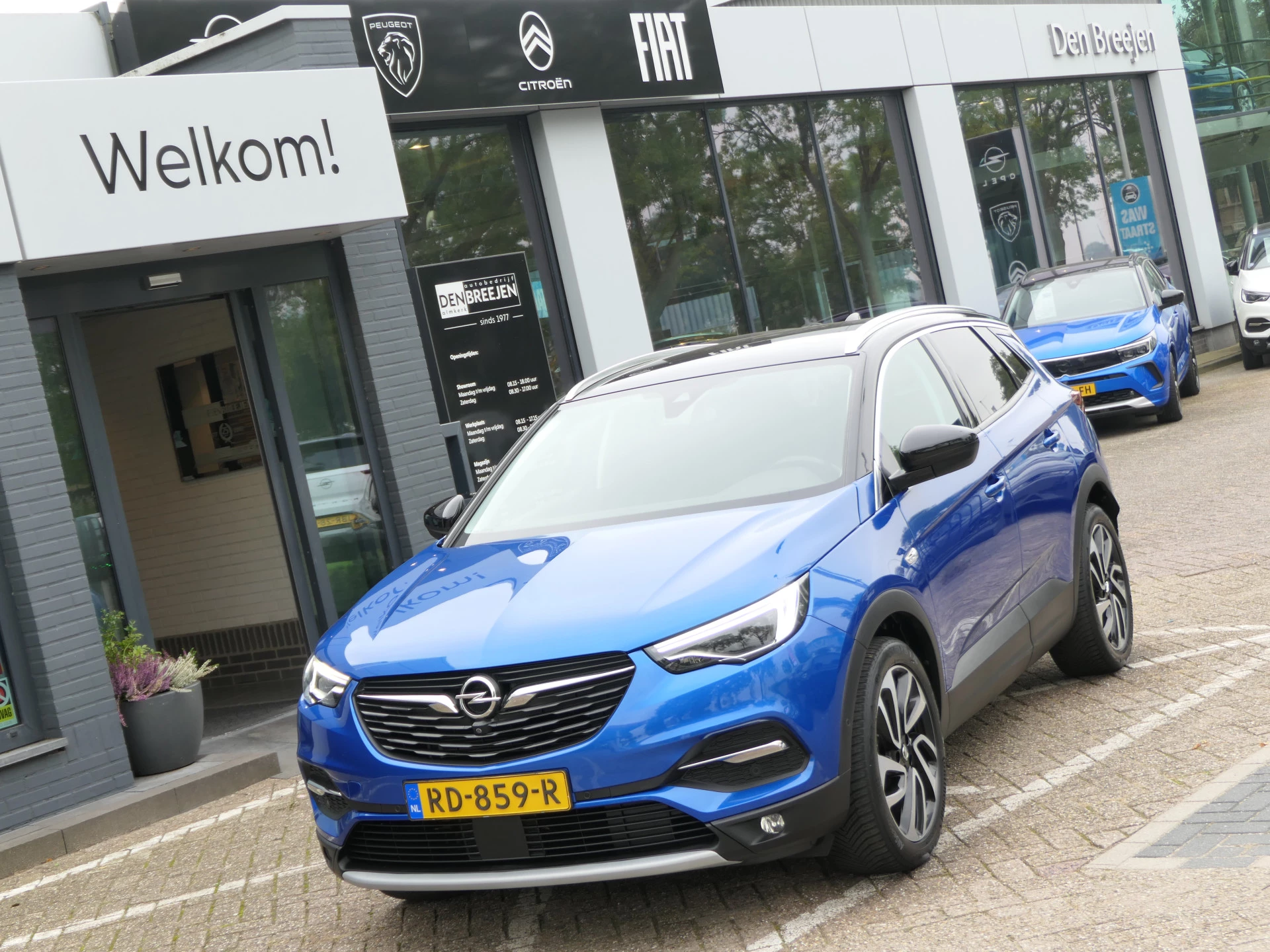 Hoofdafbeelding Opel Grandland X