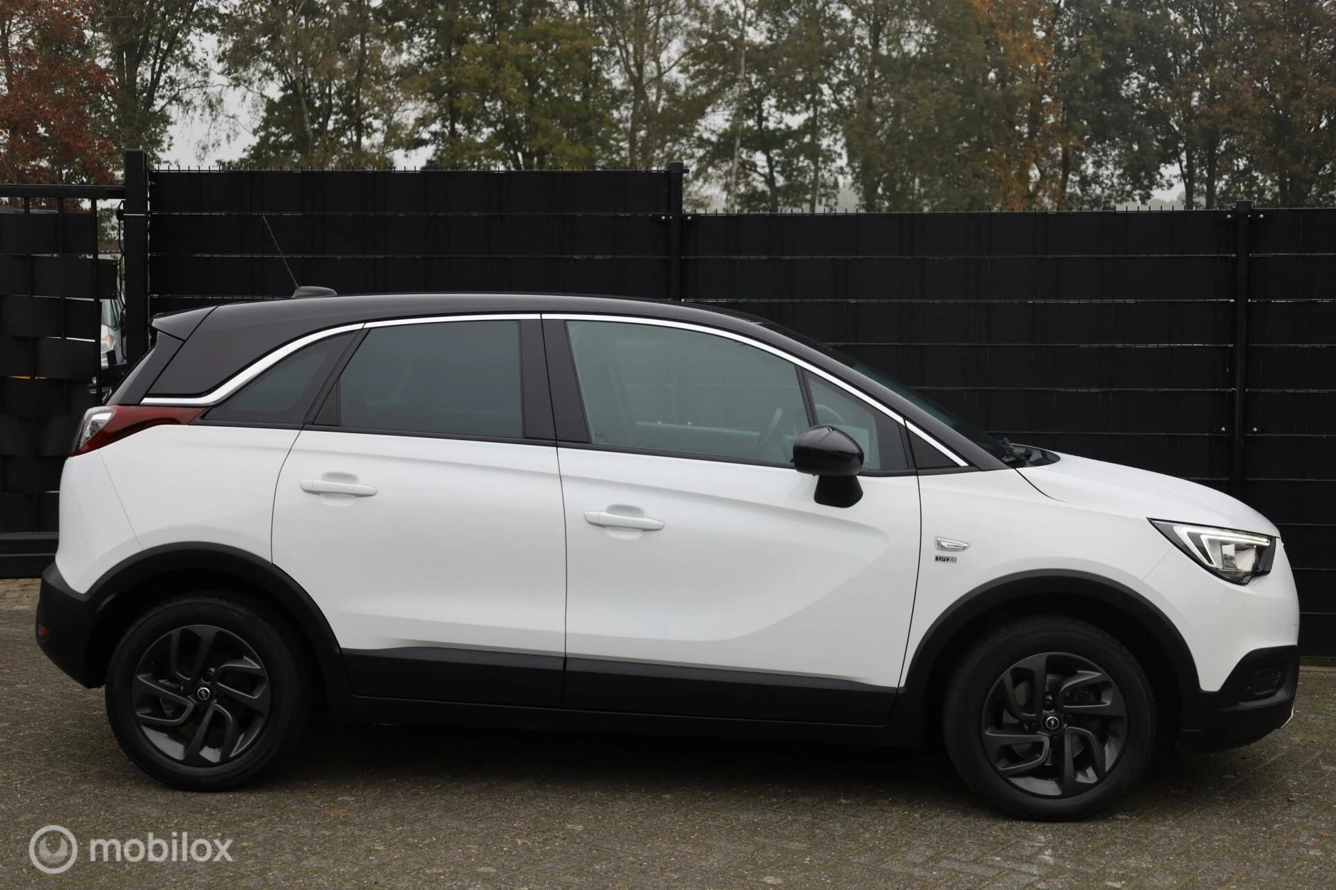 Hoofdafbeelding Opel Crossland X