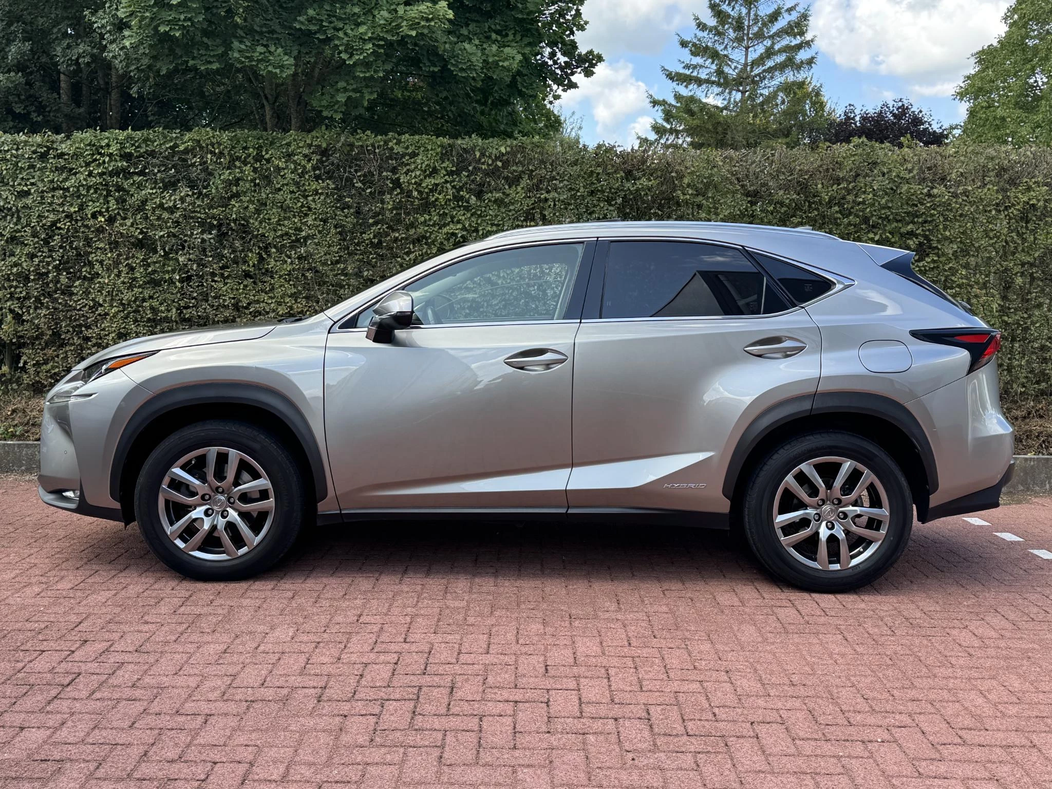 Hoofdafbeelding Lexus NX