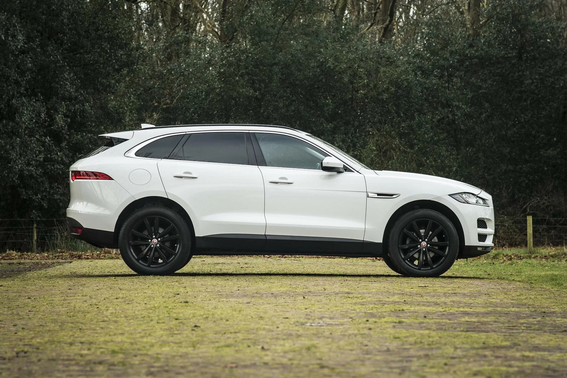 Hoofdafbeelding Jaguar F-PACE