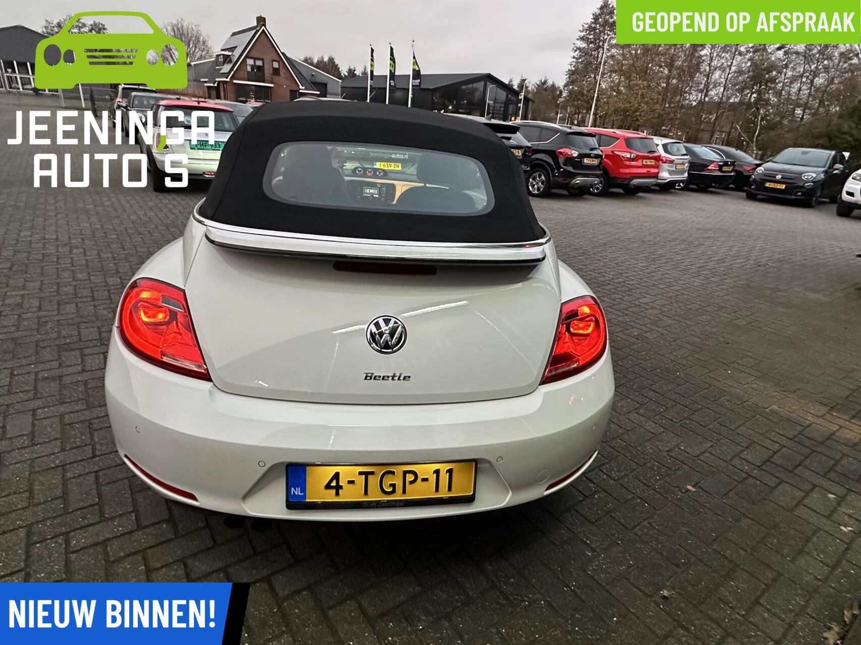 Hoofdafbeelding Volkswagen Beetle