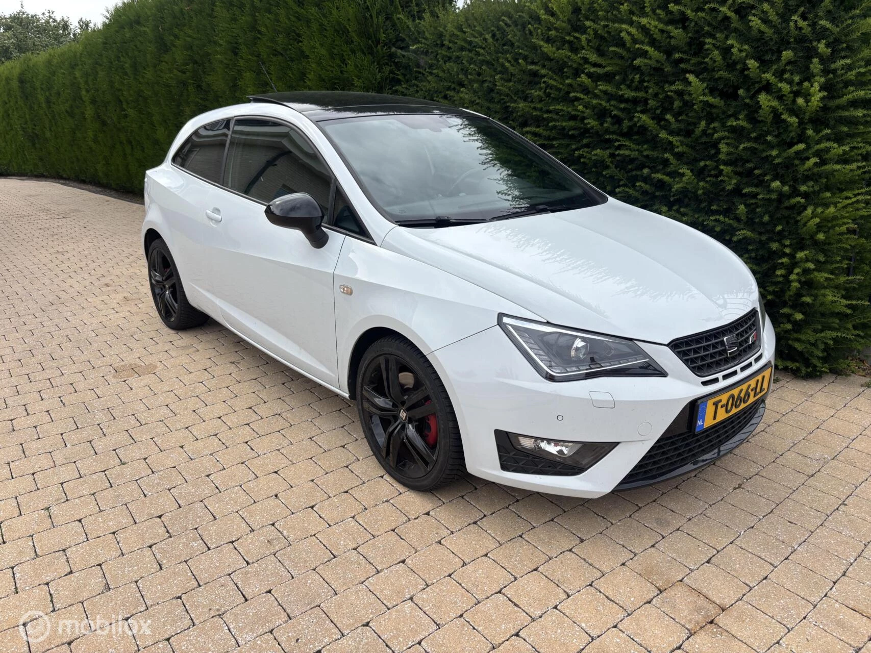 Hoofdafbeelding SEAT Ibiza