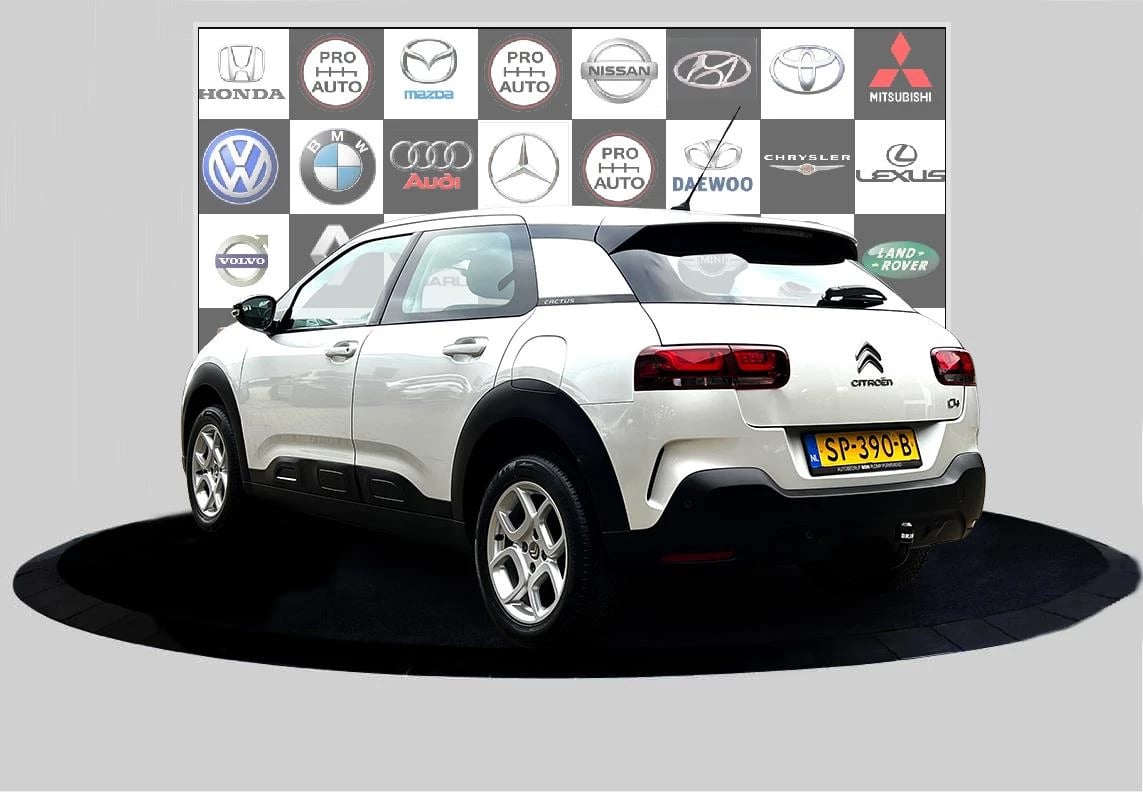 Hoofdafbeelding Citroën C4 Cactus