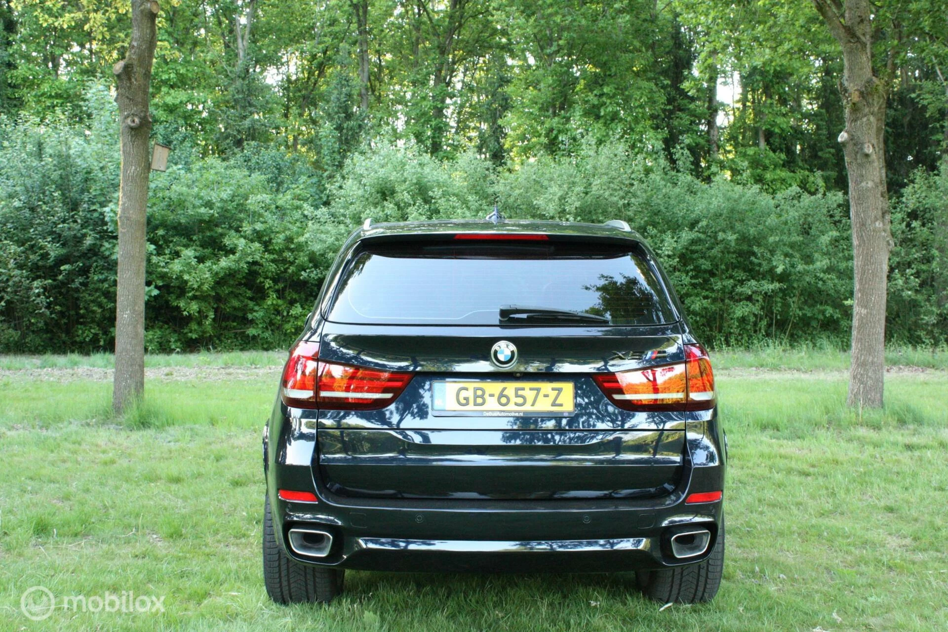 Hoofdafbeelding BMW X5
