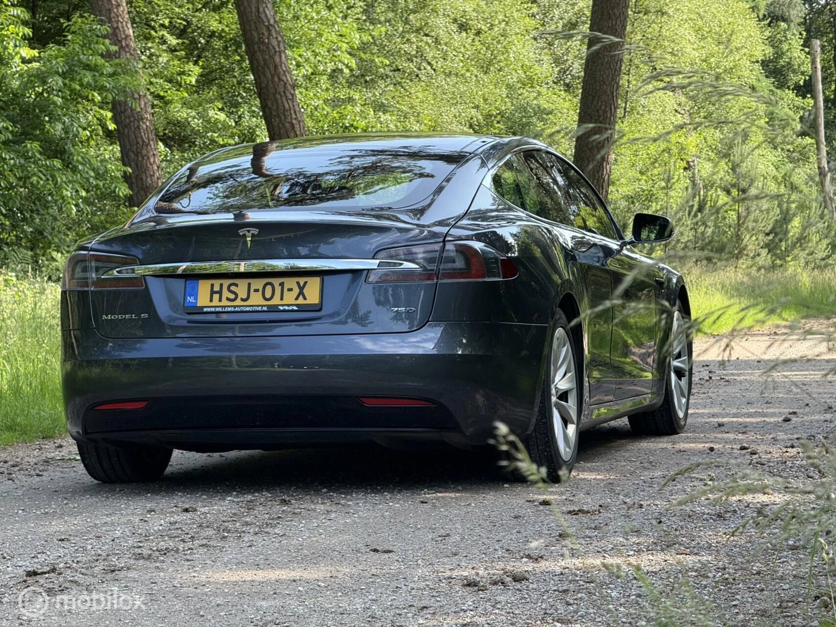 Hoofdafbeelding Tesla Model S