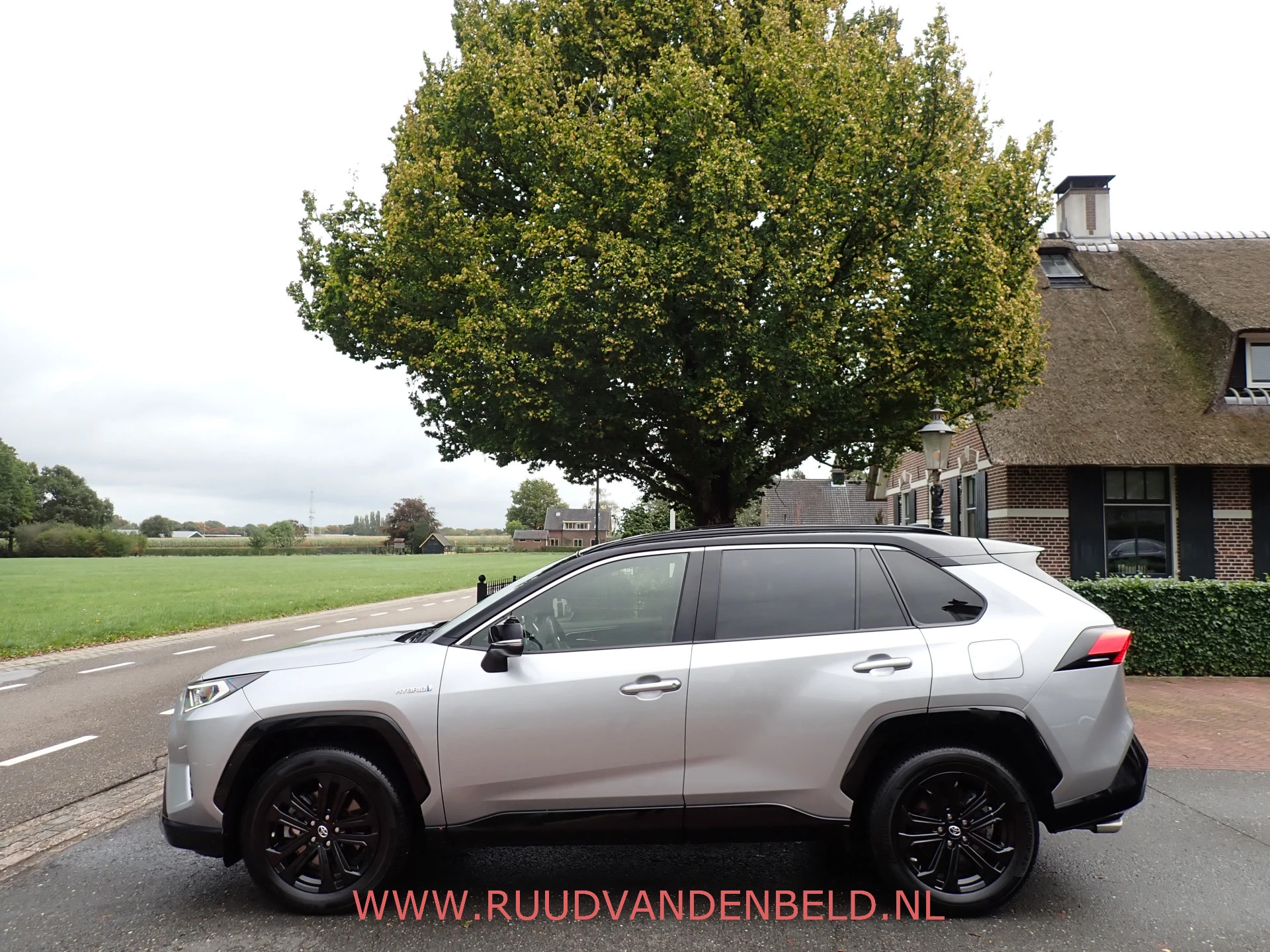 Hoofdafbeelding Toyota RAV4