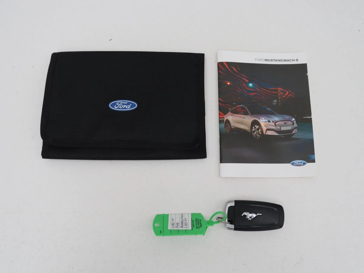 Hoofdafbeelding Ford Mustang Mach-E
