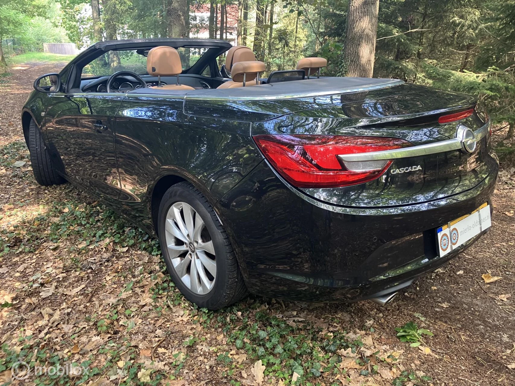 Hoofdafbeelding Opel Cascada