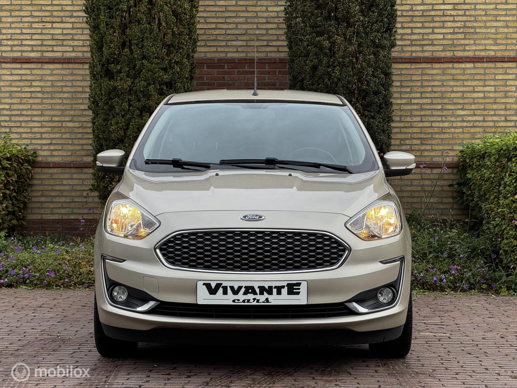 Hoofdafbeelding Ford Ka